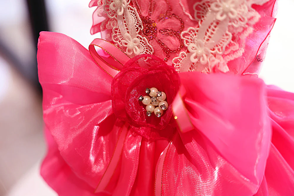 Elegant Hot Pink Lace Dog Party Dress - Image 9