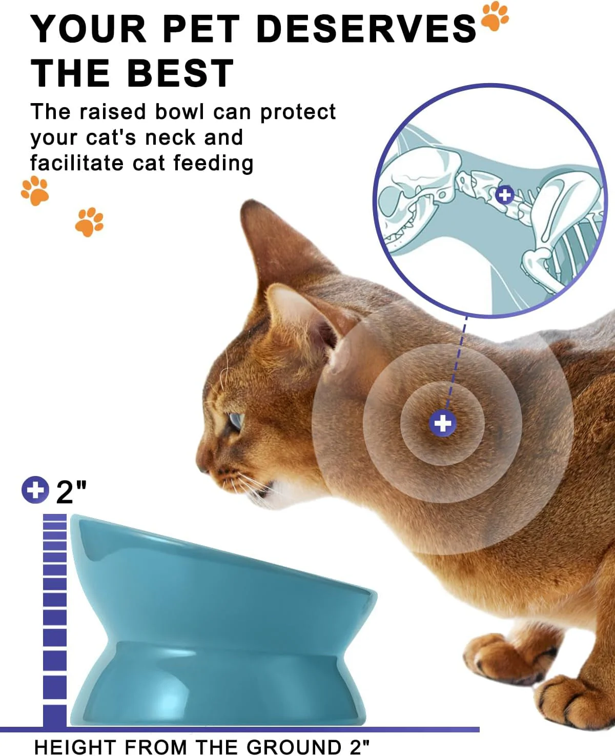 Elevated Cat Food Bowl, Ceramic Raised Cat Bowl, Tilt Angle Protect Cat'S Spine, anti Vomiting Cat Dish, Backflow Prevention, Lake Blue - Image 5
