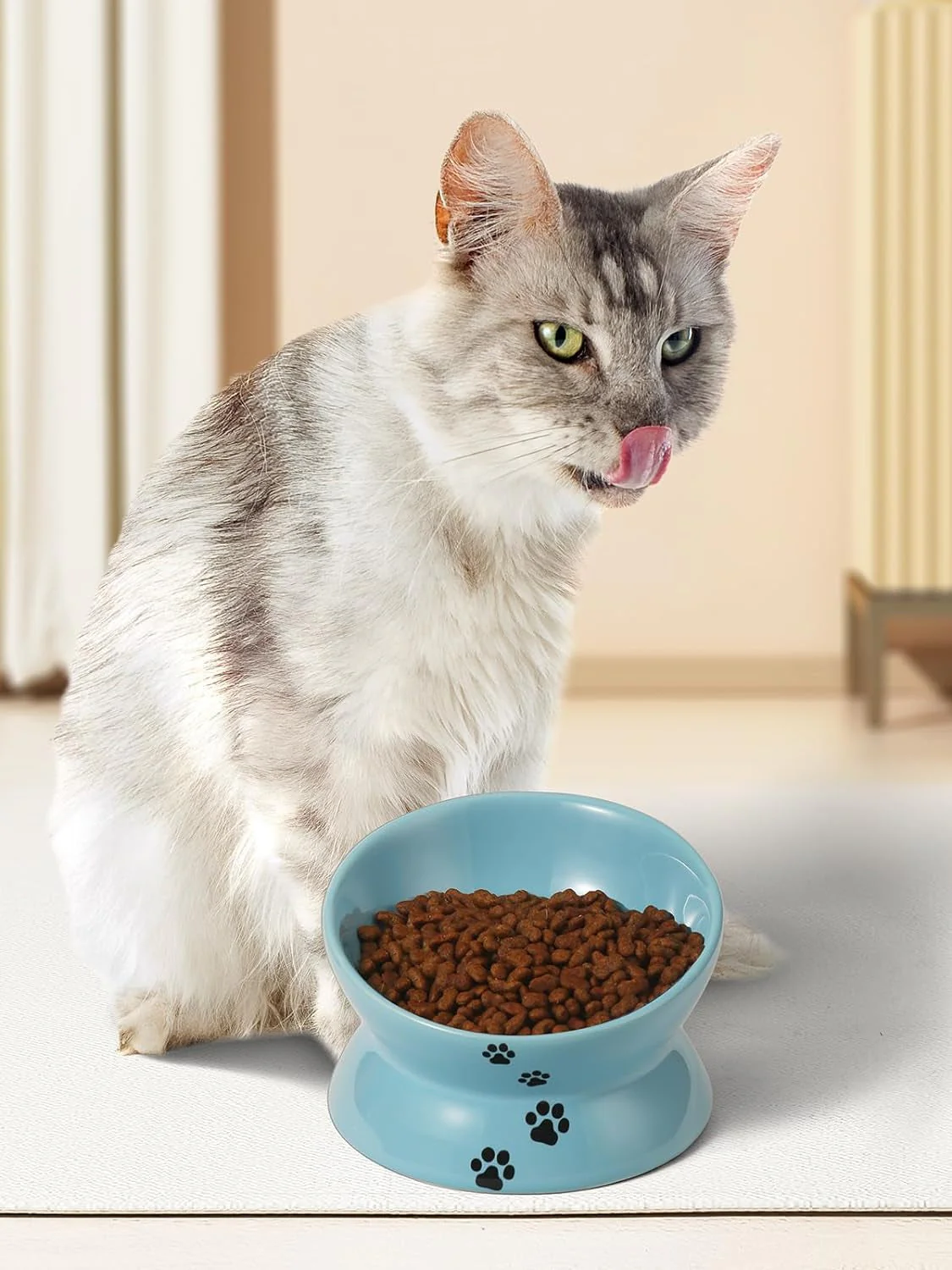 Elevated Cat Food Bowl, Ceramic Raised Cat Bowl, Tilt Angle Protect Cat'S Spine, anti Vomiting Cat Dish, Backflow Prevention, Lake Blue - Image 7