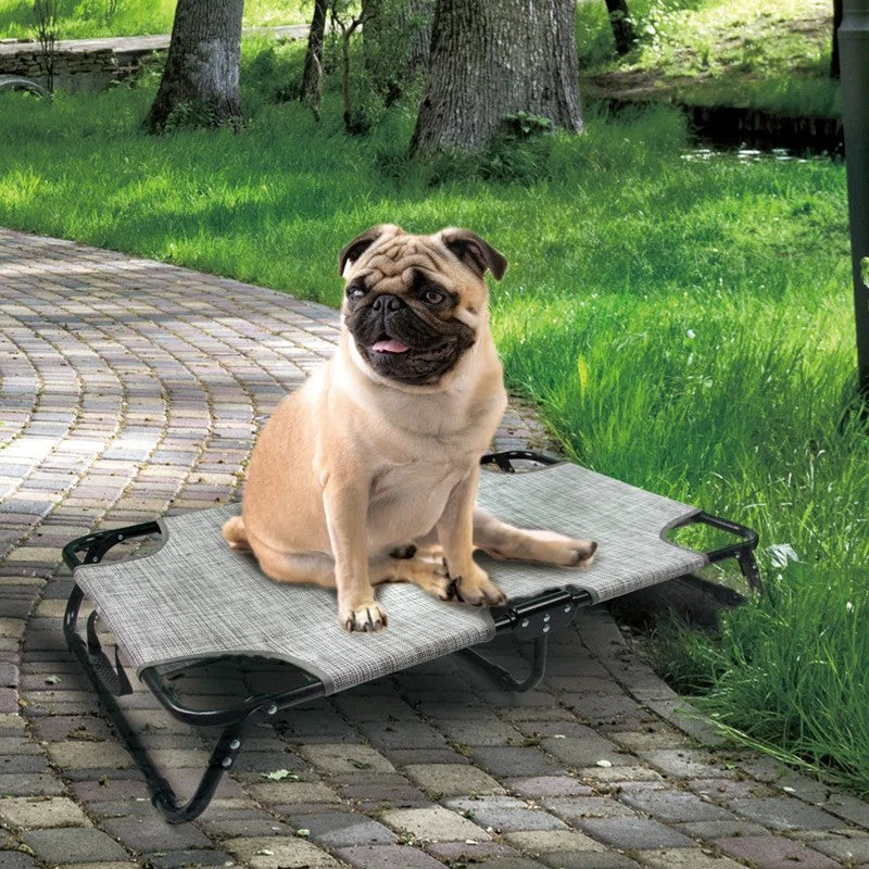Elevated Dog Bed - Foldable Pet Beds with No Assembly for Indoor & Outdoor Use - Image 8
