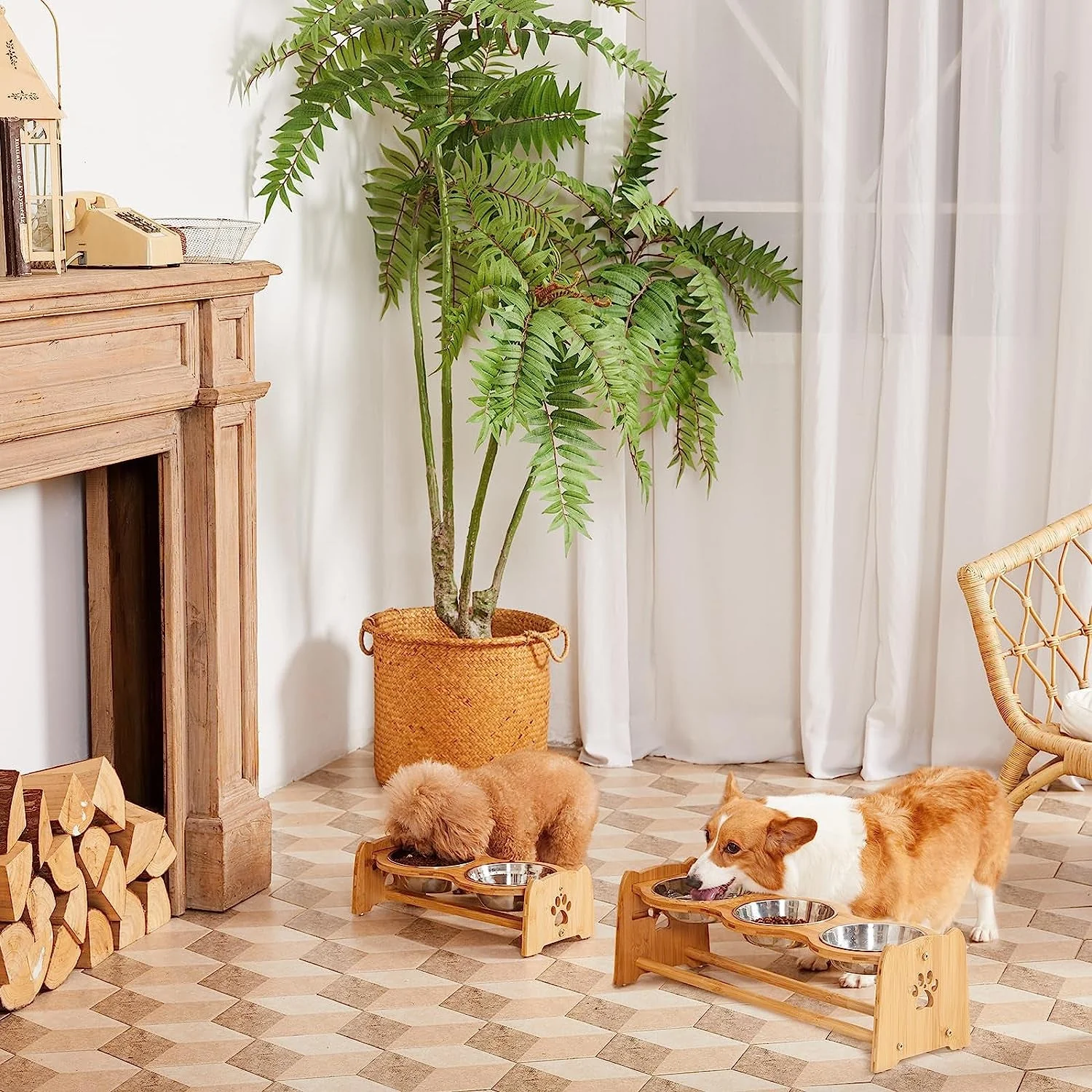 Elevated Dog Bowls for Cats and Dogs - Image 3