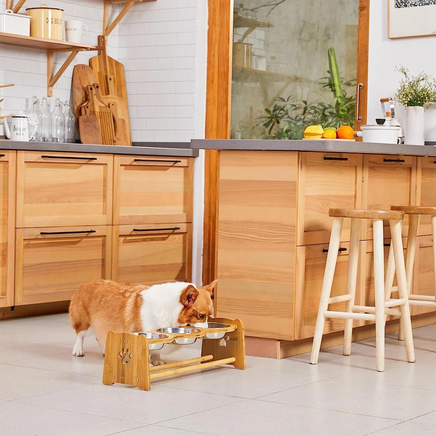 Elevated Dog Bowls for Cats and Dogs - Image 5