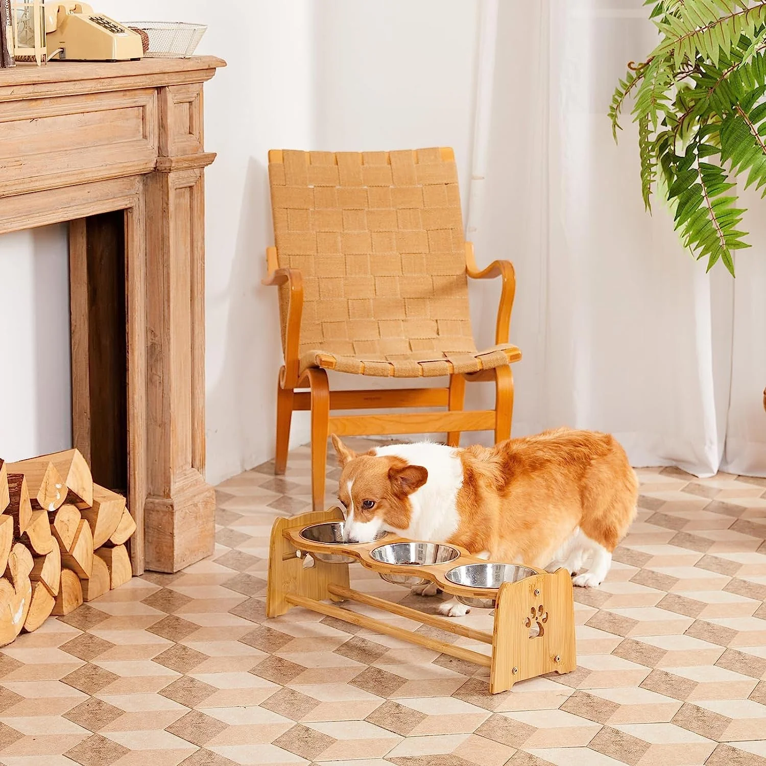 Elevated Dog Bowls for Cats and Dogs - Image 6