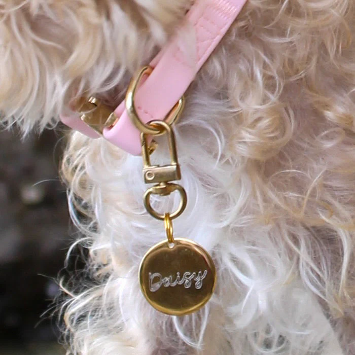 Elise Collar - Rose - Image 3