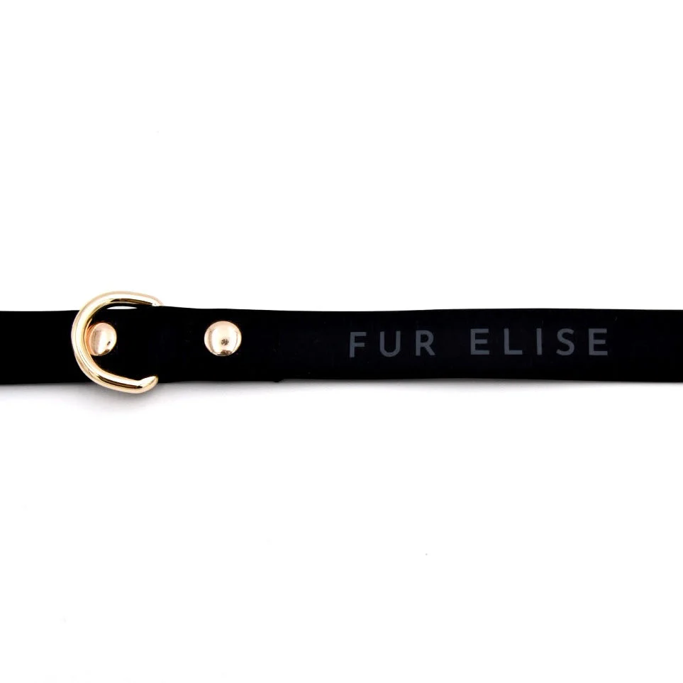 Elise Leash - Noir - Image 2