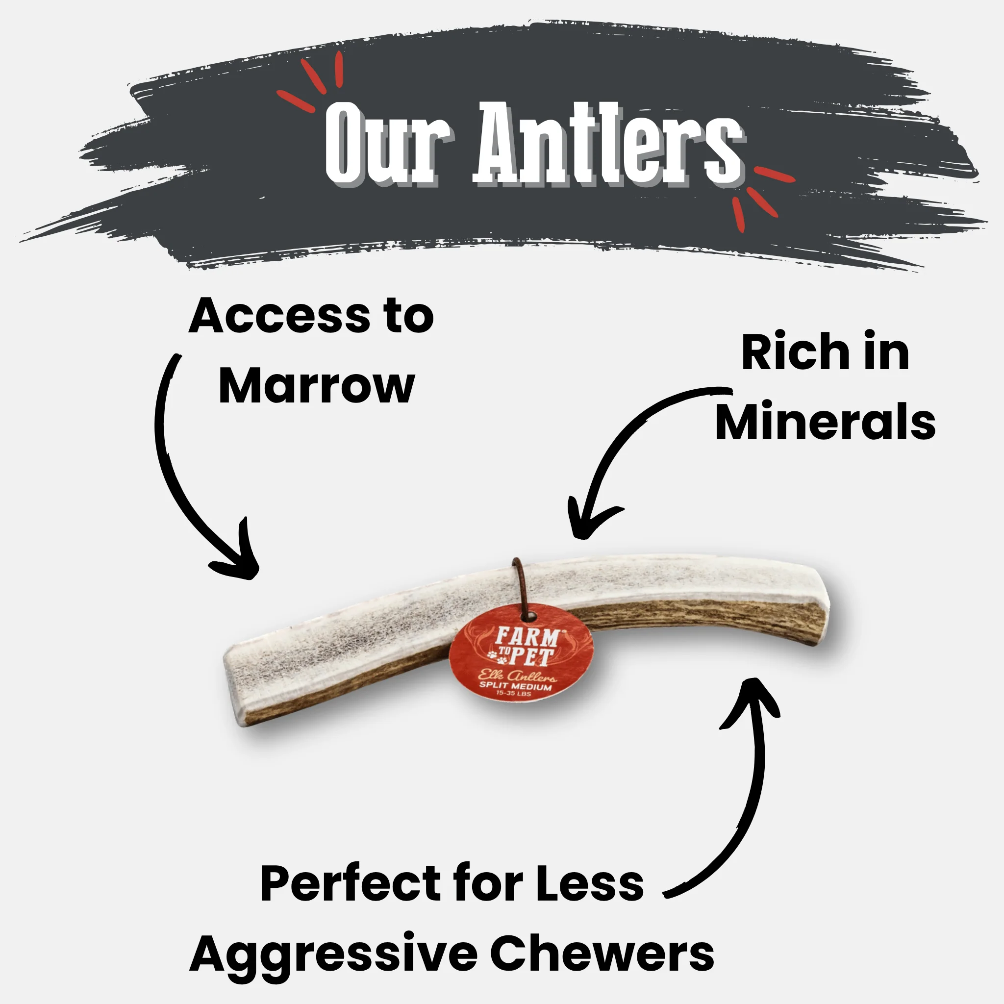 Elk Antler Dog Chews | All-Natural Whole and Split Elk Antler Chews for Dogs - Image 18