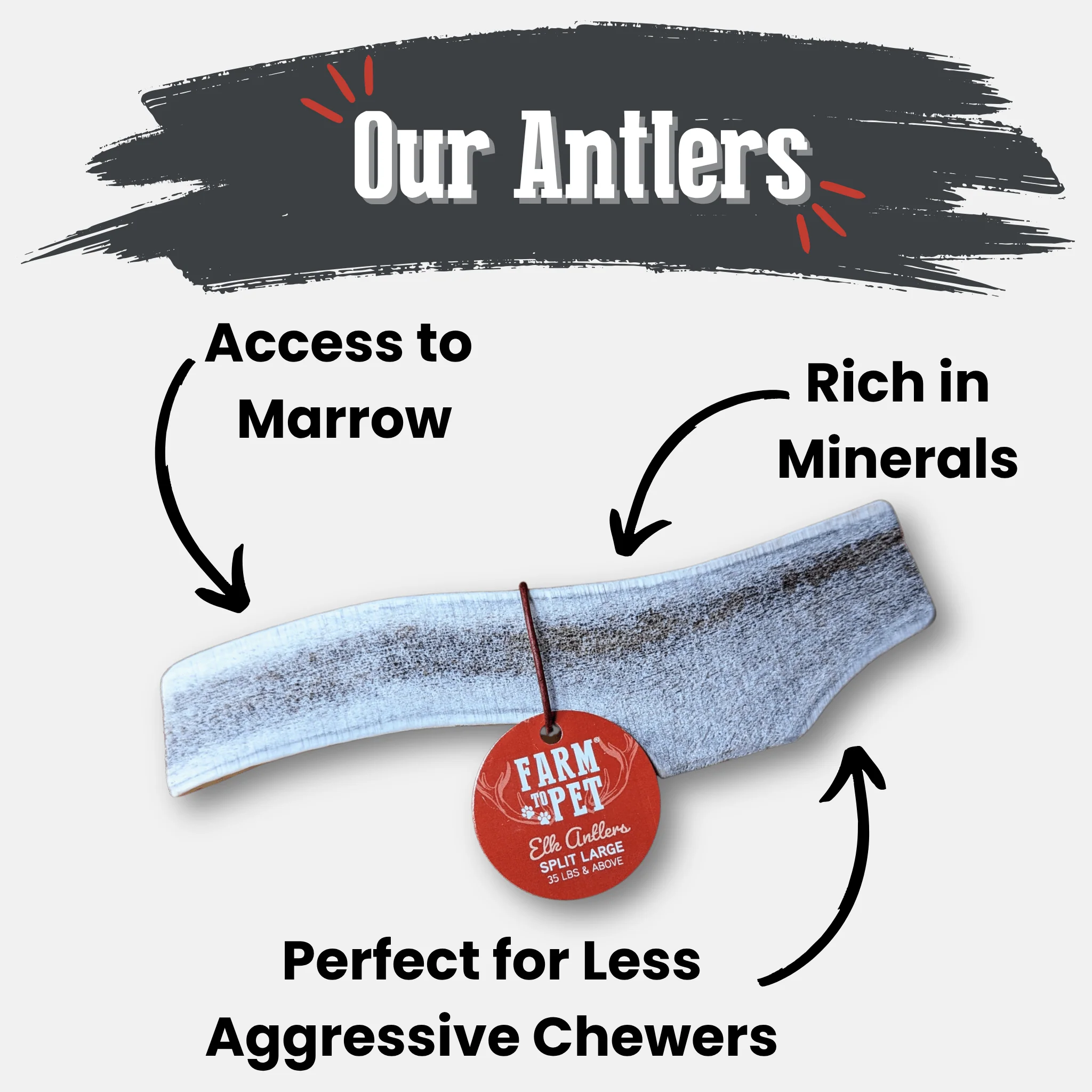 Elk Antler Dog Chews | All-Natural Whole and Split Elk Antler Chews for Dogs - Image 32