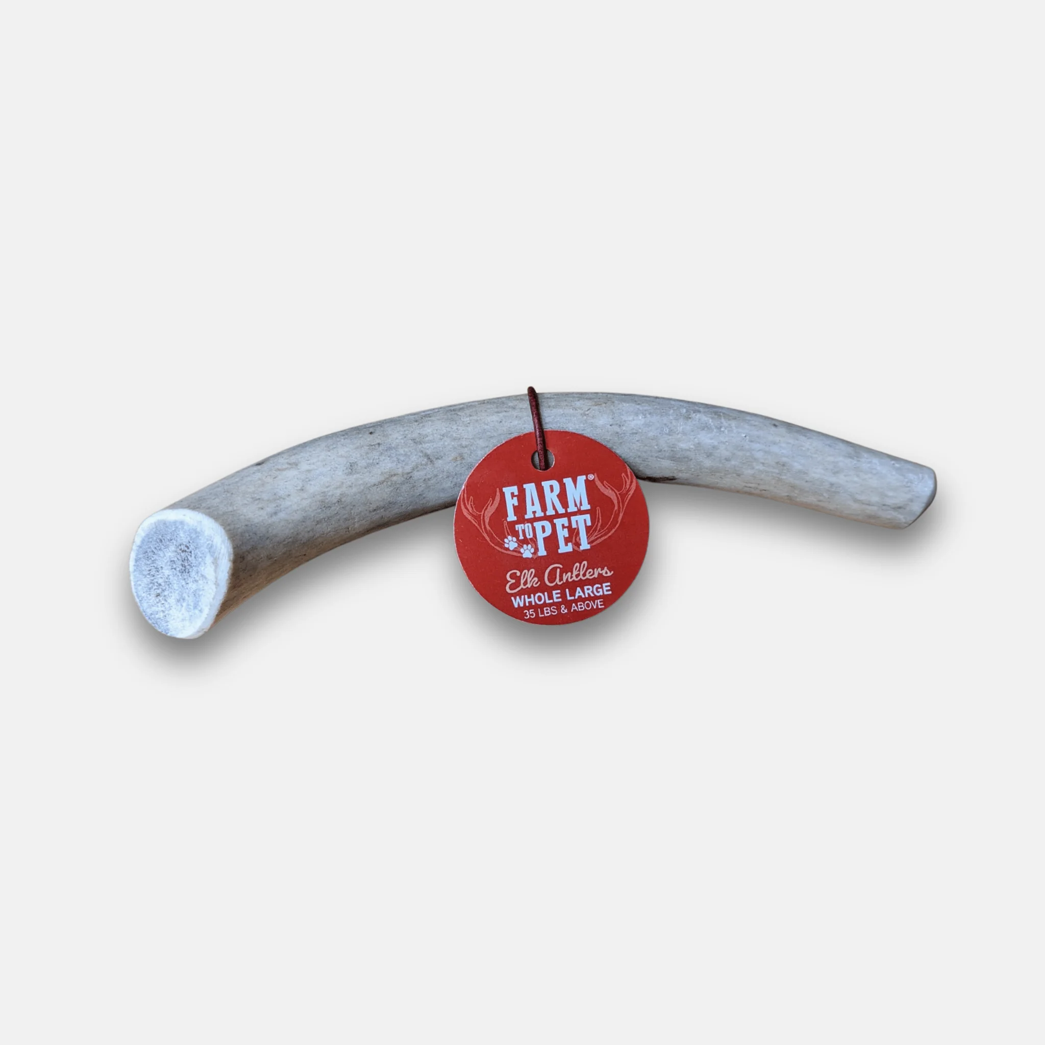 Elk Antler Dog Chews | All-Natural Whole and Split Elk Antler Chews for Dogs - Image 38