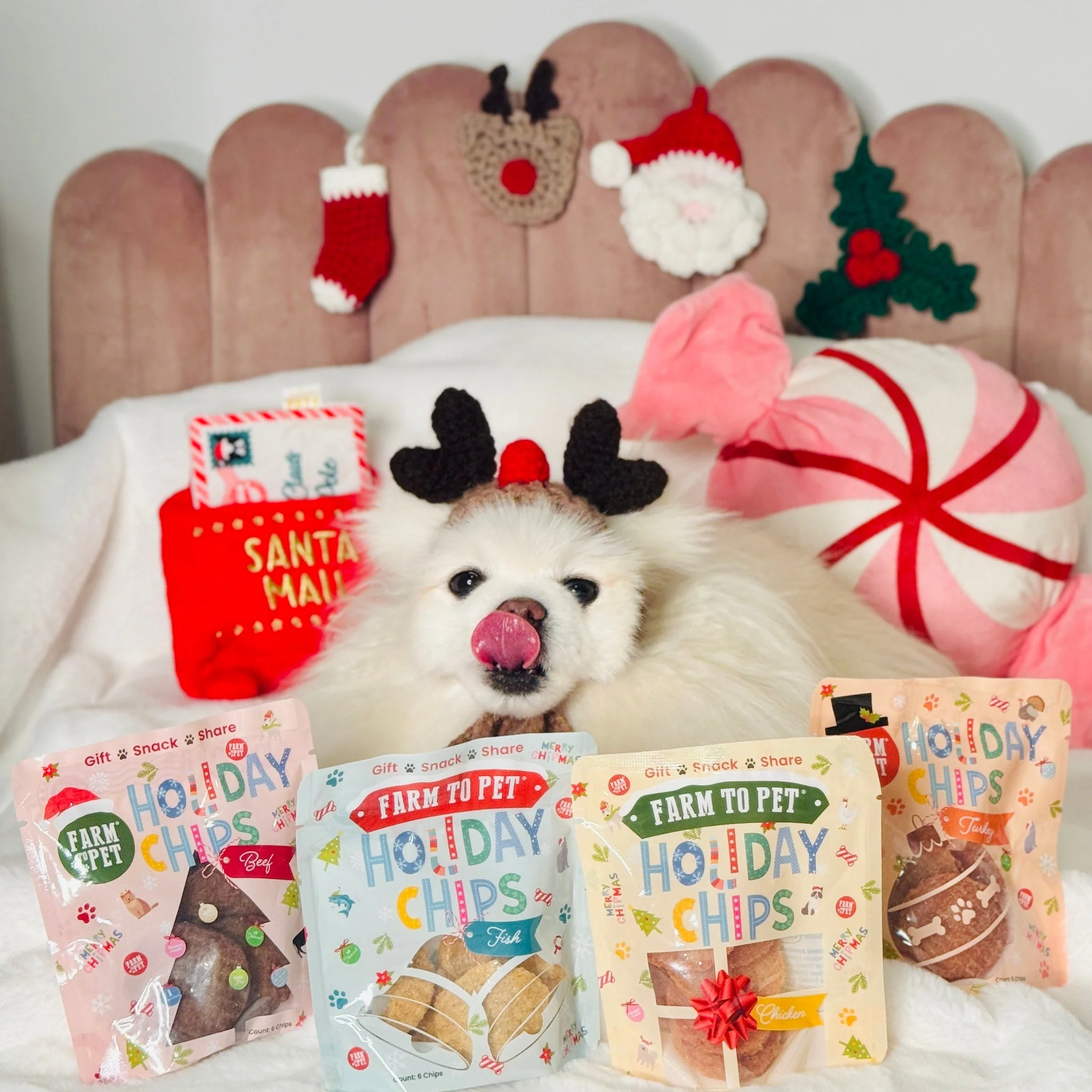Elk The Halls Antler Chew & Dog Treat Box - Image 15