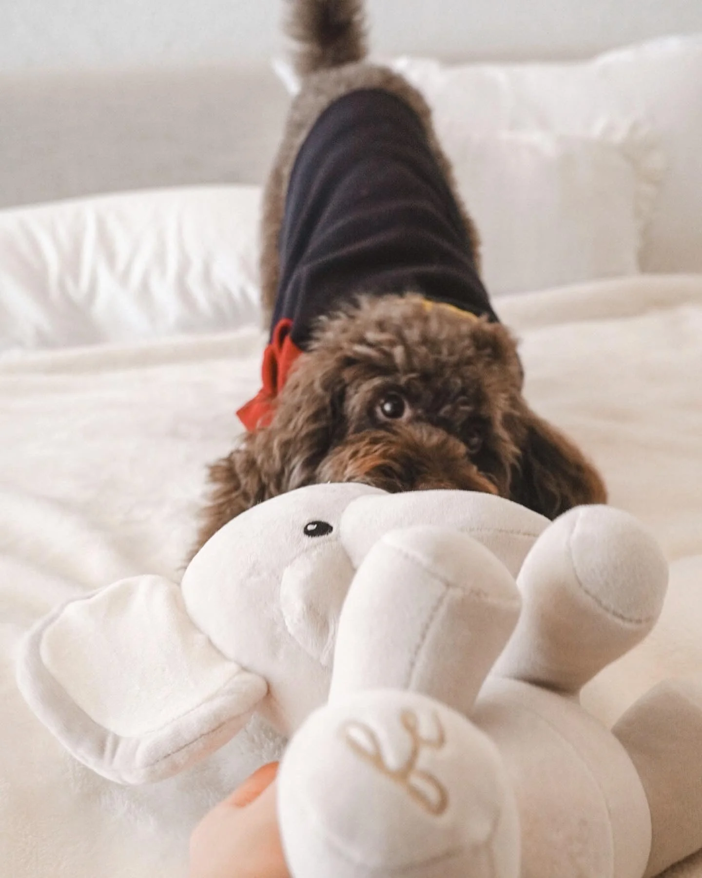 Ella Plushie - Image 10