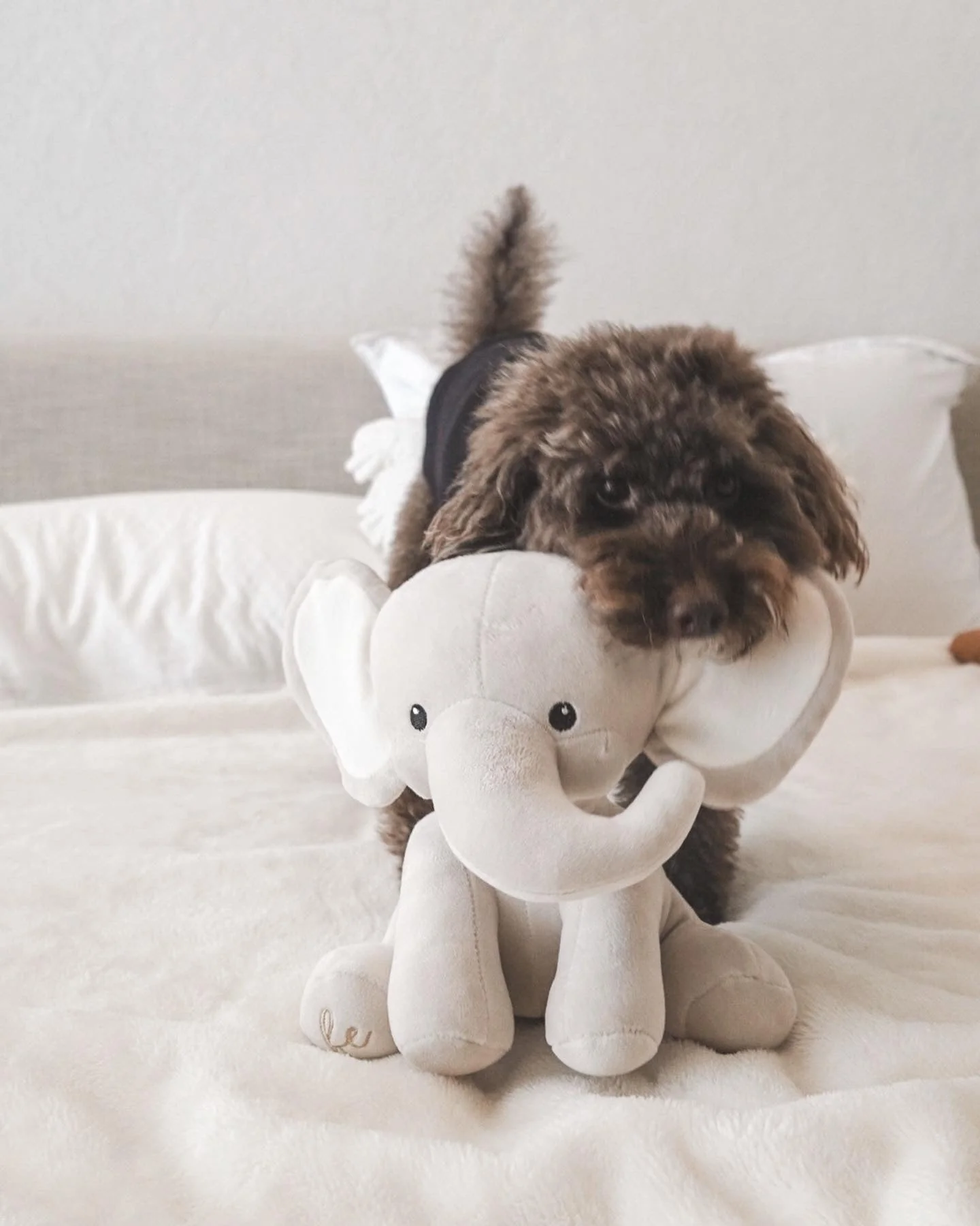Ella Plushie - Image 11