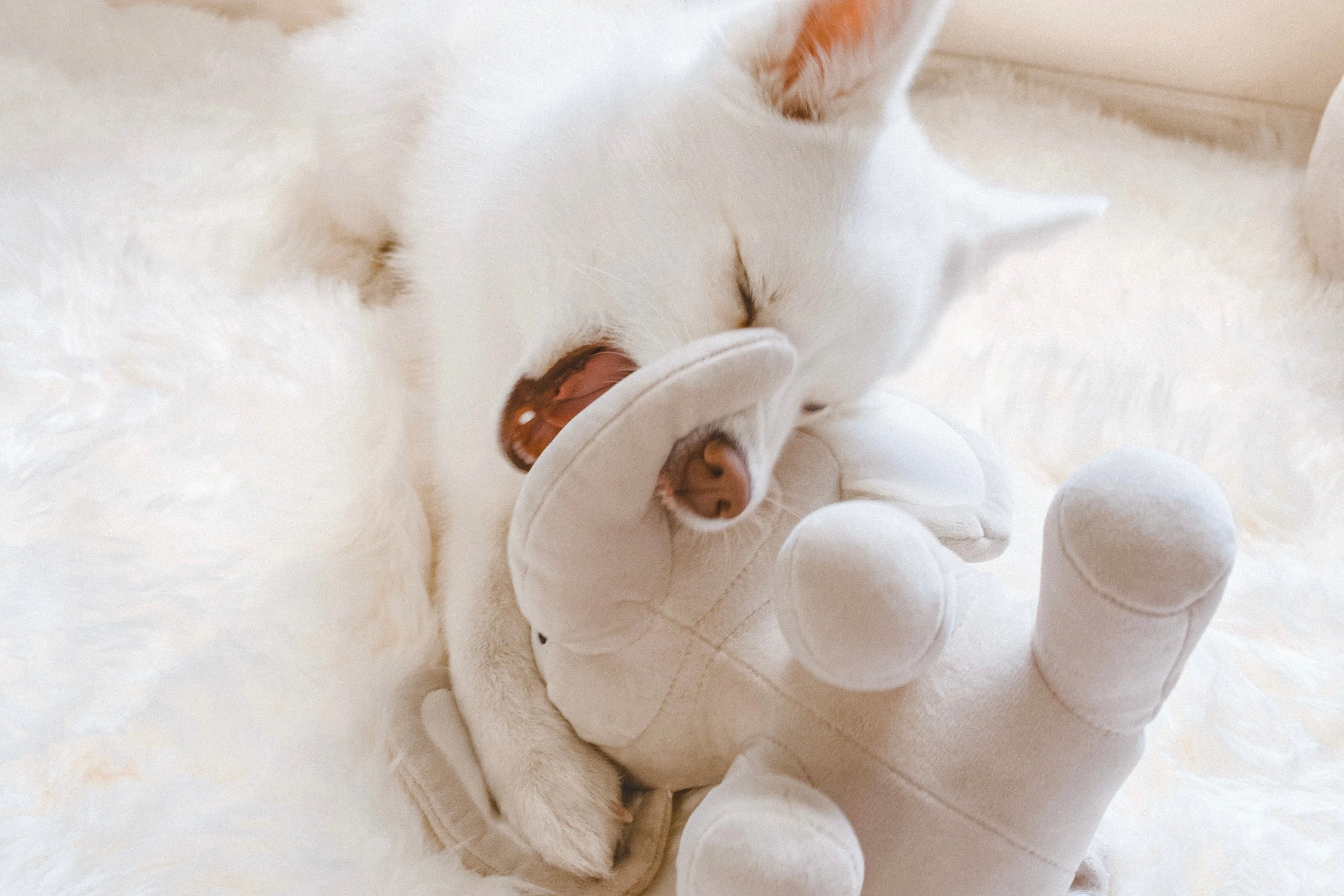 Ella Plushie - Image 12