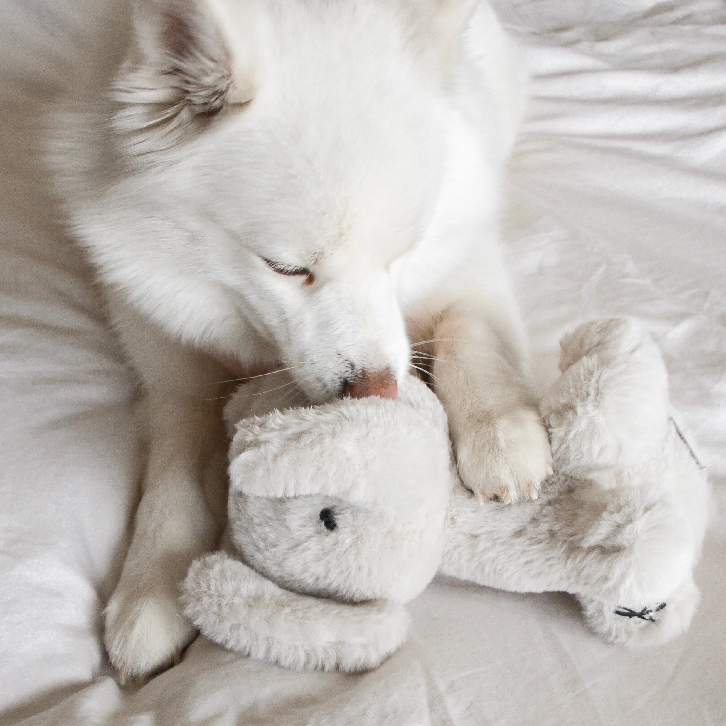 Ella Plushie - Image 4