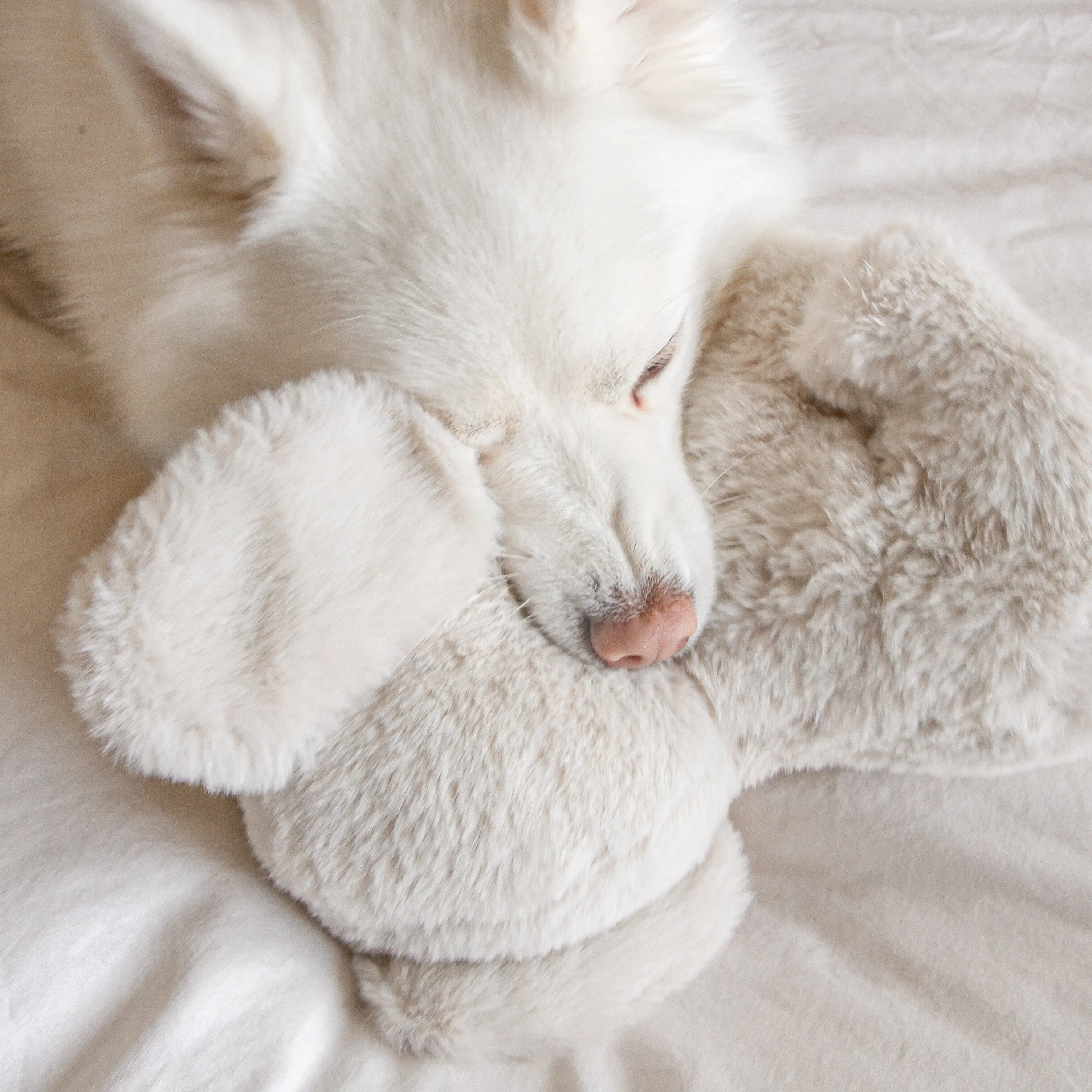 Ella Plushie - Image 5