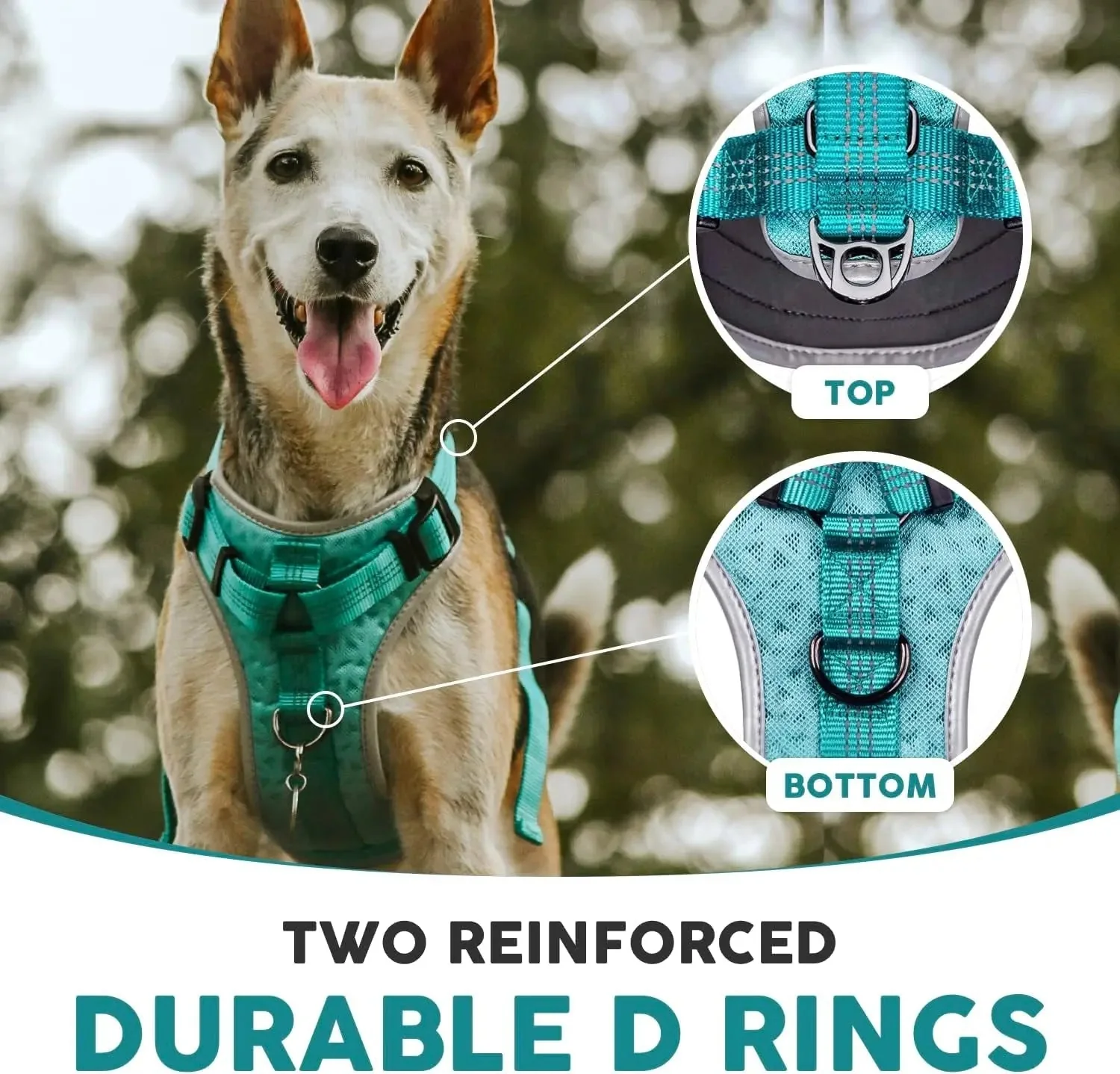 Embark Sports Dog Harness, Dog Harness for Large Dogs No Pull with Light and Breathable Design - Easy on and Off, No Pull Training, Size Adjustable, Non Choke with Handle for Control. Teal Vest - Image 4