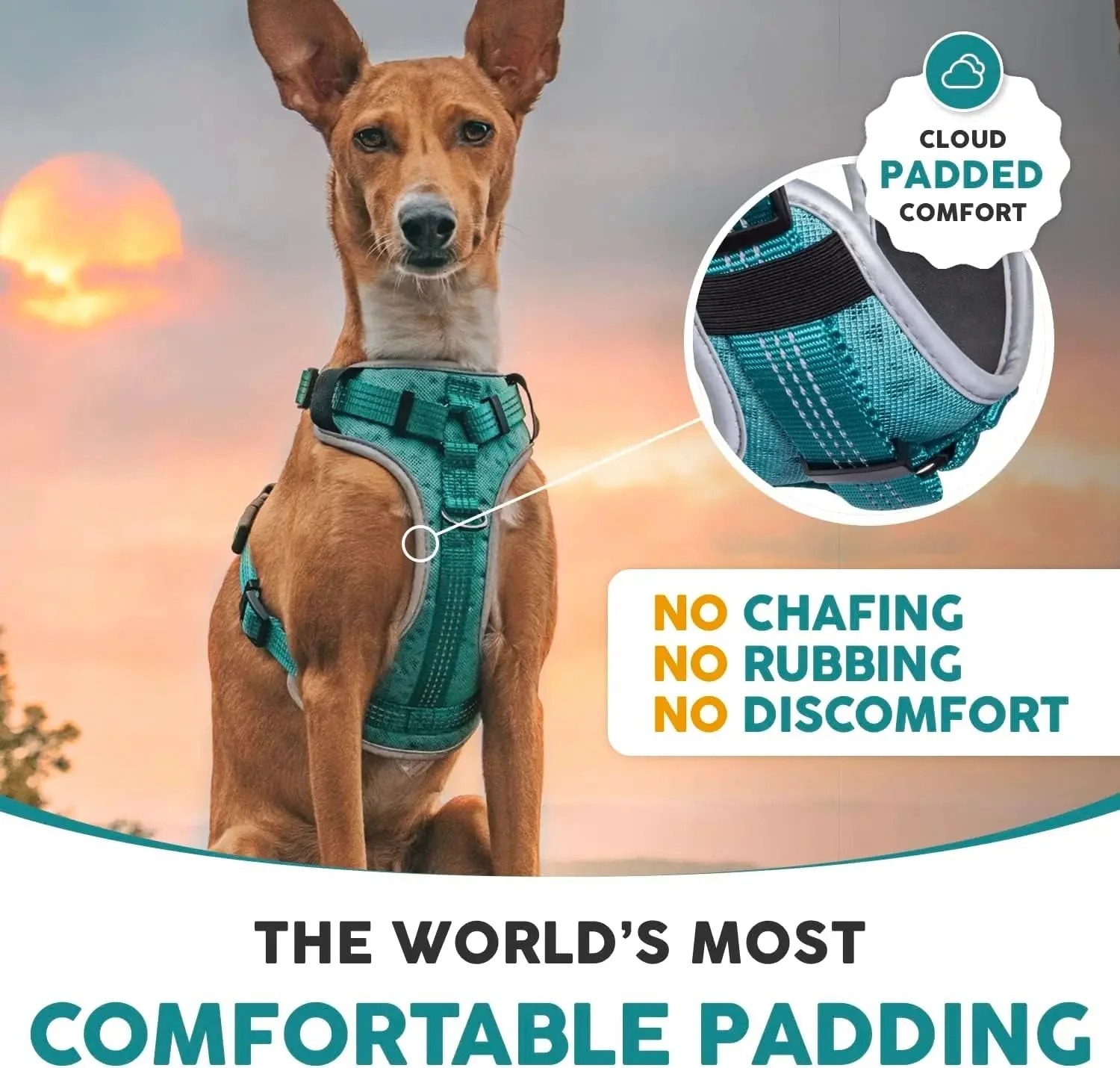 Embark Sports Dog Harness, Dog Harness for Large Dogs No Pull with Light and Breathable Design - Easy on and Off, No Pull Training, Size Adjustable, Non Choke with Handle for Control. Teal Vest - Image 6