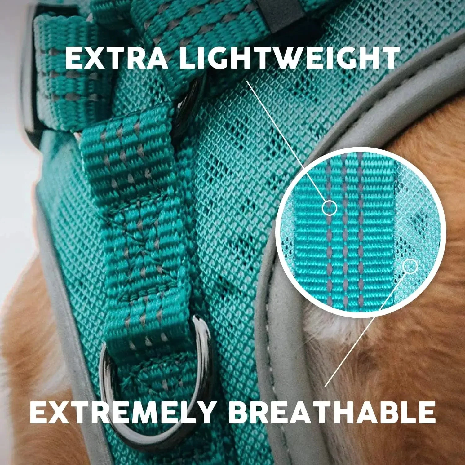Embark Sports Dog Harness, Dog Harness for Large Dogs No Pull with Light and Breathable Design - Easy on and Off, No Pull Training, Size Adjustable, Non Choke with Handle for Control. Teal Vest - Image 7