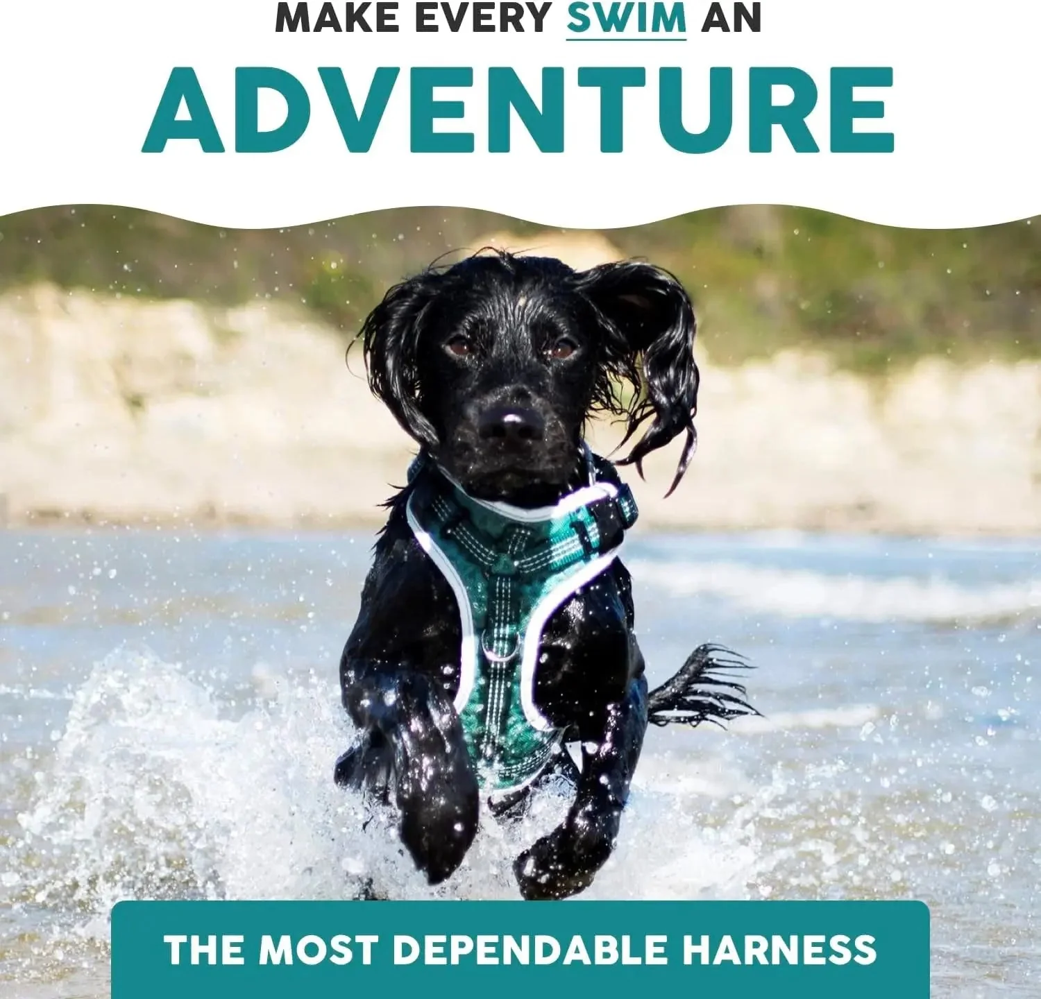 Embark Sports Dog Harness, Dog Harness for Large Dogs No Pull with Light and Breathable Design - Easy on and Off, No Pull Training, Size Adjustable, Non Choke with Handle for Control. Teal Vest - Image 8
