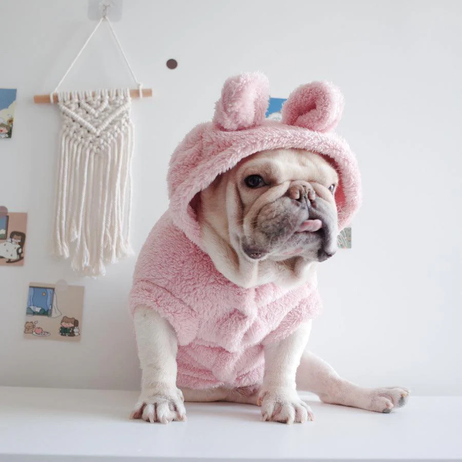 Embroidery Cartoon Hooded Pet Vest - Image 5
