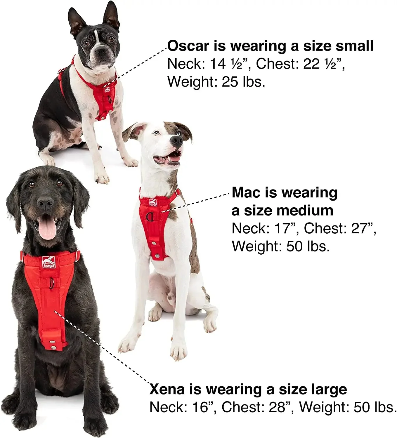 Enhanced Strength Tru-Fit Dog Car Harness - Crash Tested for Safety - Broad Chest Plate - All Steel Nested Buckles - Includes Seatbelt Tether - Red - Large - Image 5