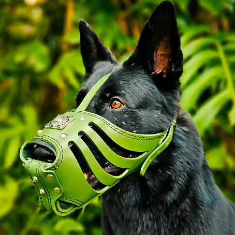 ''Eros'' Basket Muzzle GREEN - Image 2