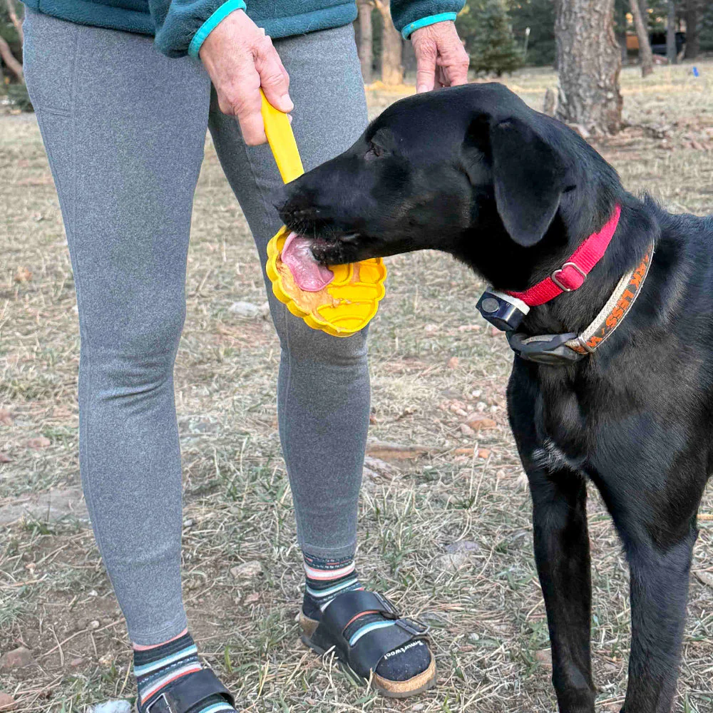 eStick Hand-Held Dog Enrichment Toy - Interactive Lick Stick | USA Made - Image 5