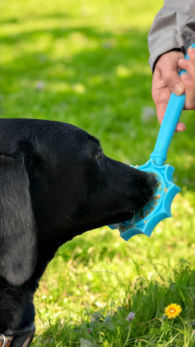 eStick Hand-Held Dog Enrichment Toy - Interactive Lick Stick | USA Made - Image 7