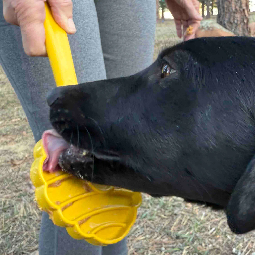eStick Hand-Held Dog Enrichment Toy - Interactive Lick Stick | USA Made - Image 9