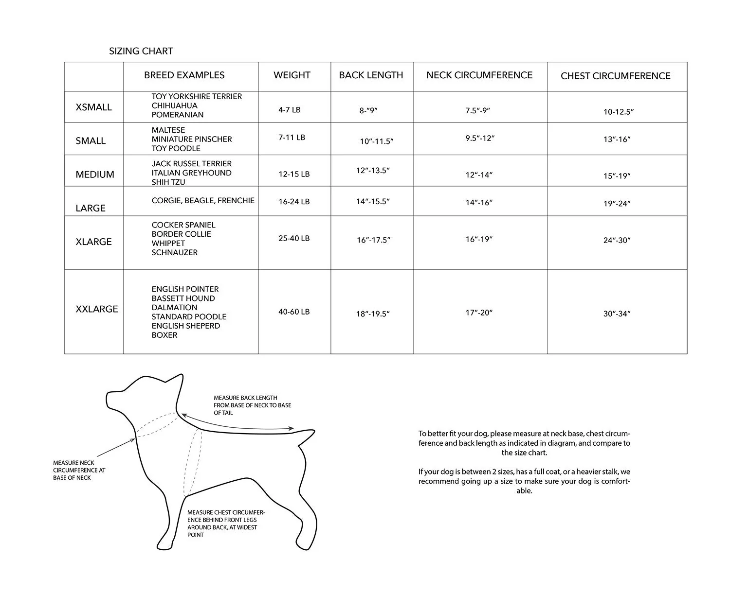 Evan Water Repellant Pet Raincoat - Image 4