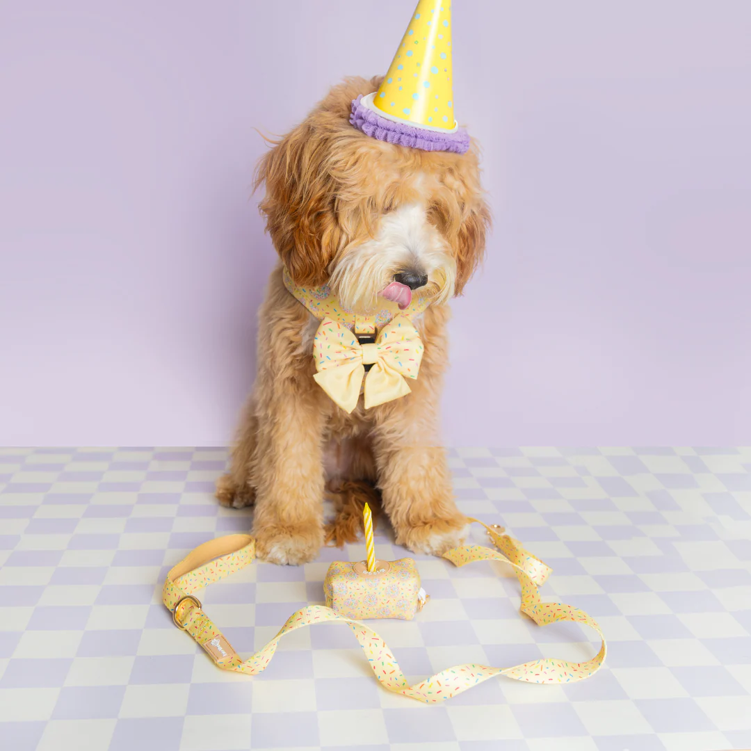 Ever So Sweet Step-in Harness - Image 7