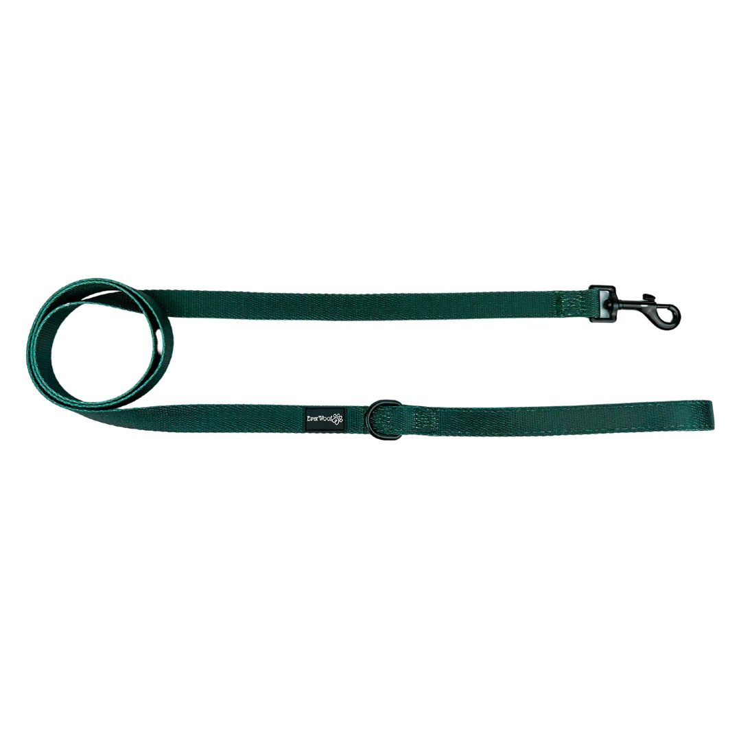 Evergreen Dream Leashes - Image 2