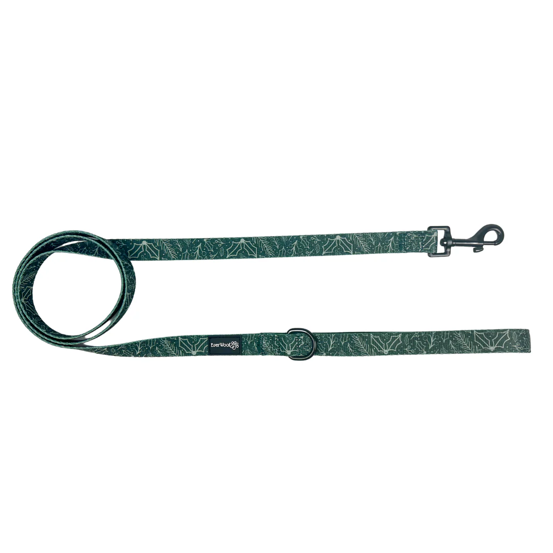 Evergreen Dream Leashes - Image 3