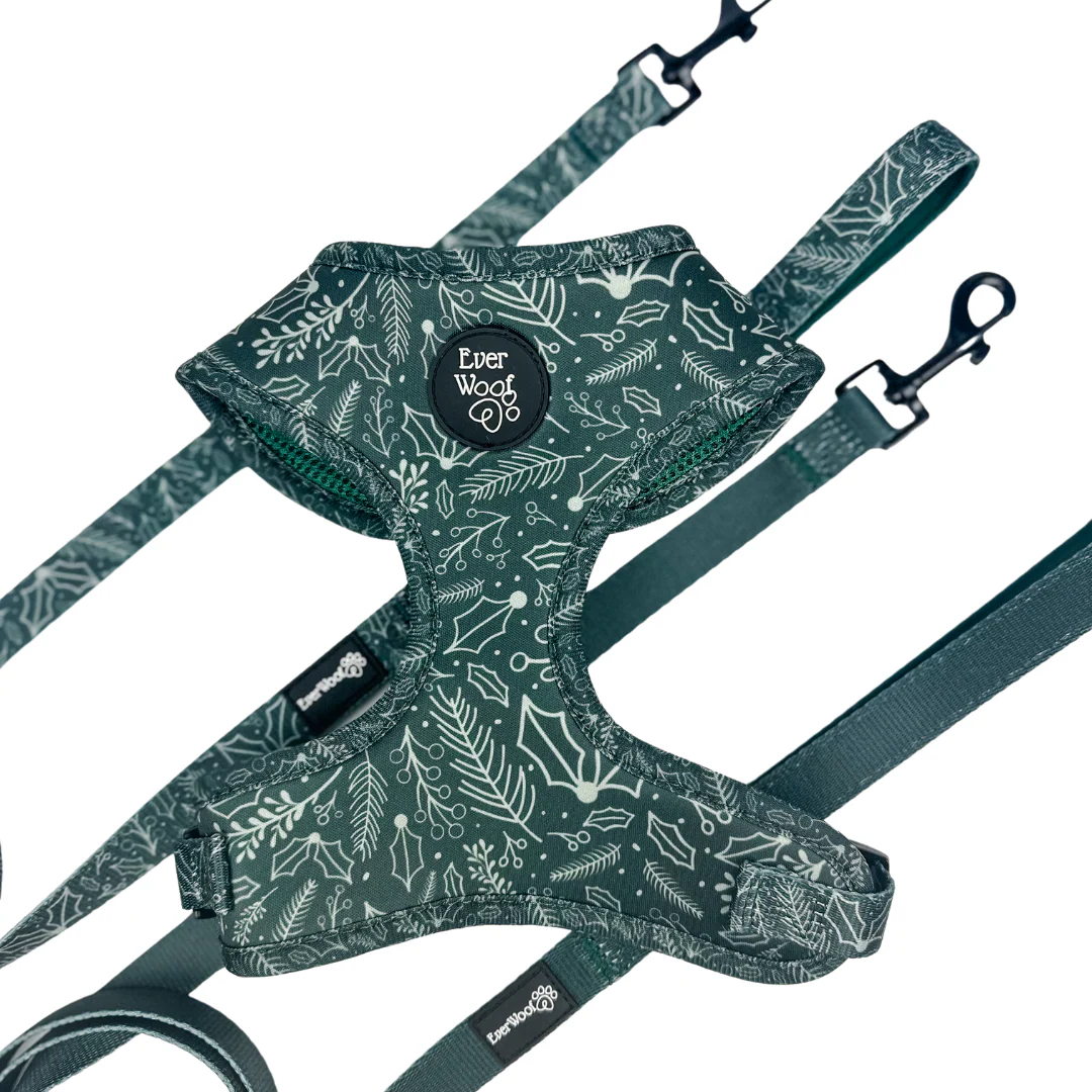 Evergreen Dream Leashes - Image 4