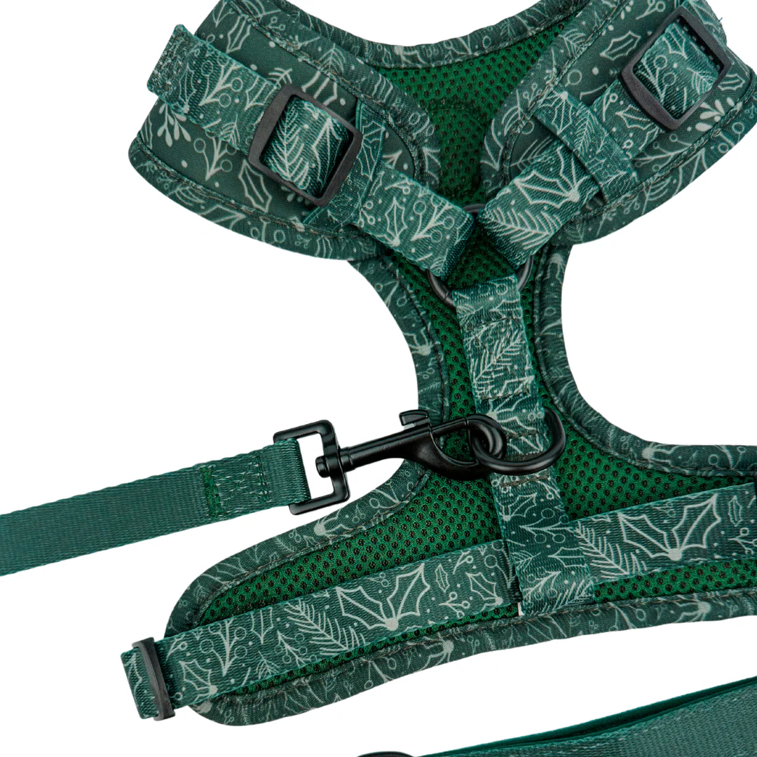Evergreen Dream Leashes - Image 5