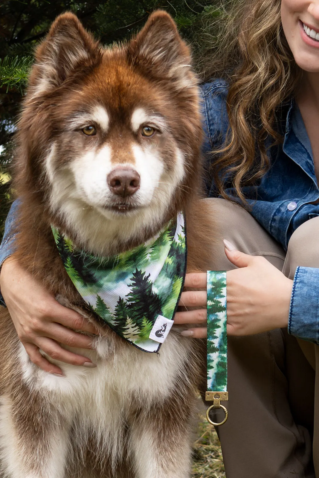 Evergreen Explorer Dog Bandana & Matching Keychain - Image 2