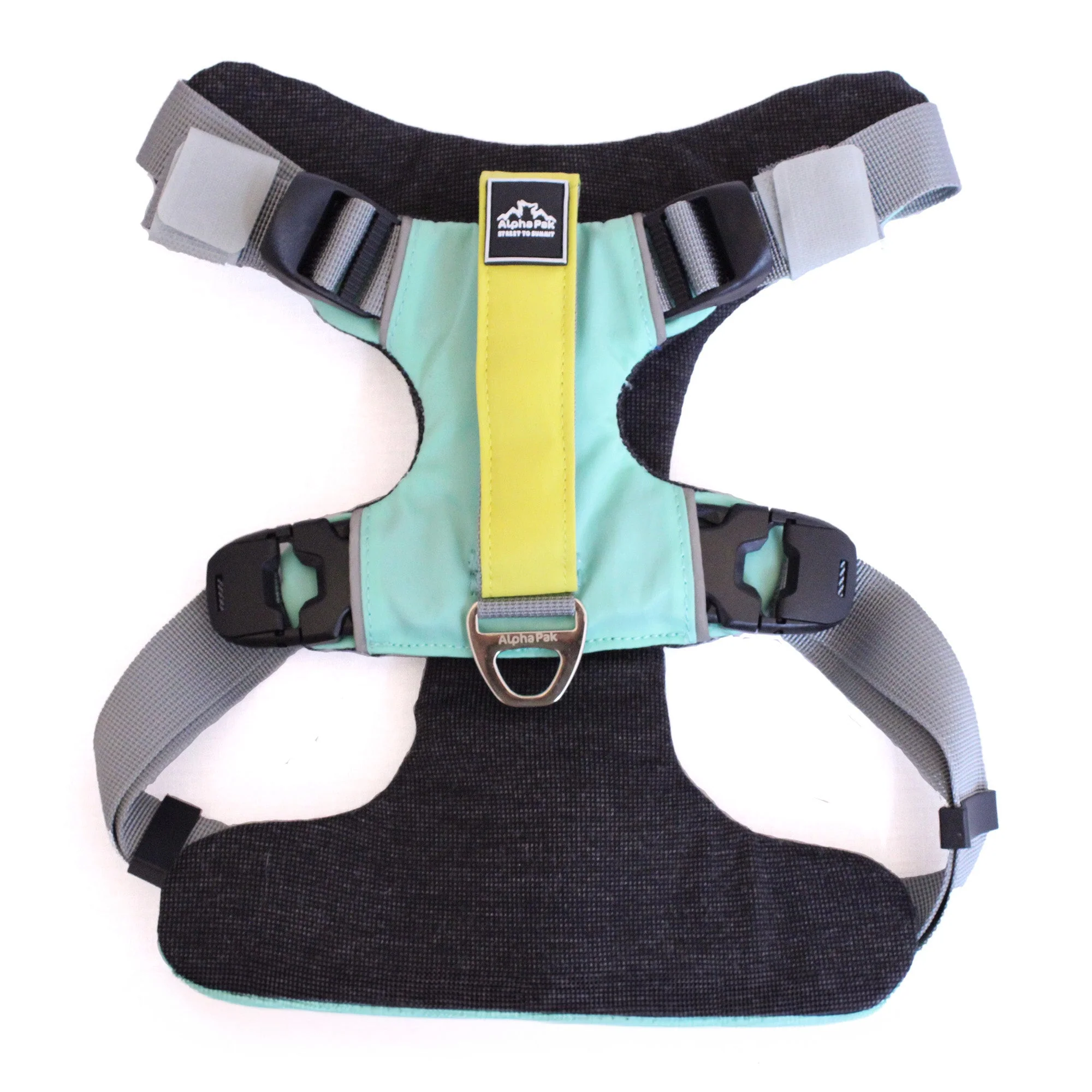 Everyday Adventure Dog Harness - Image 2