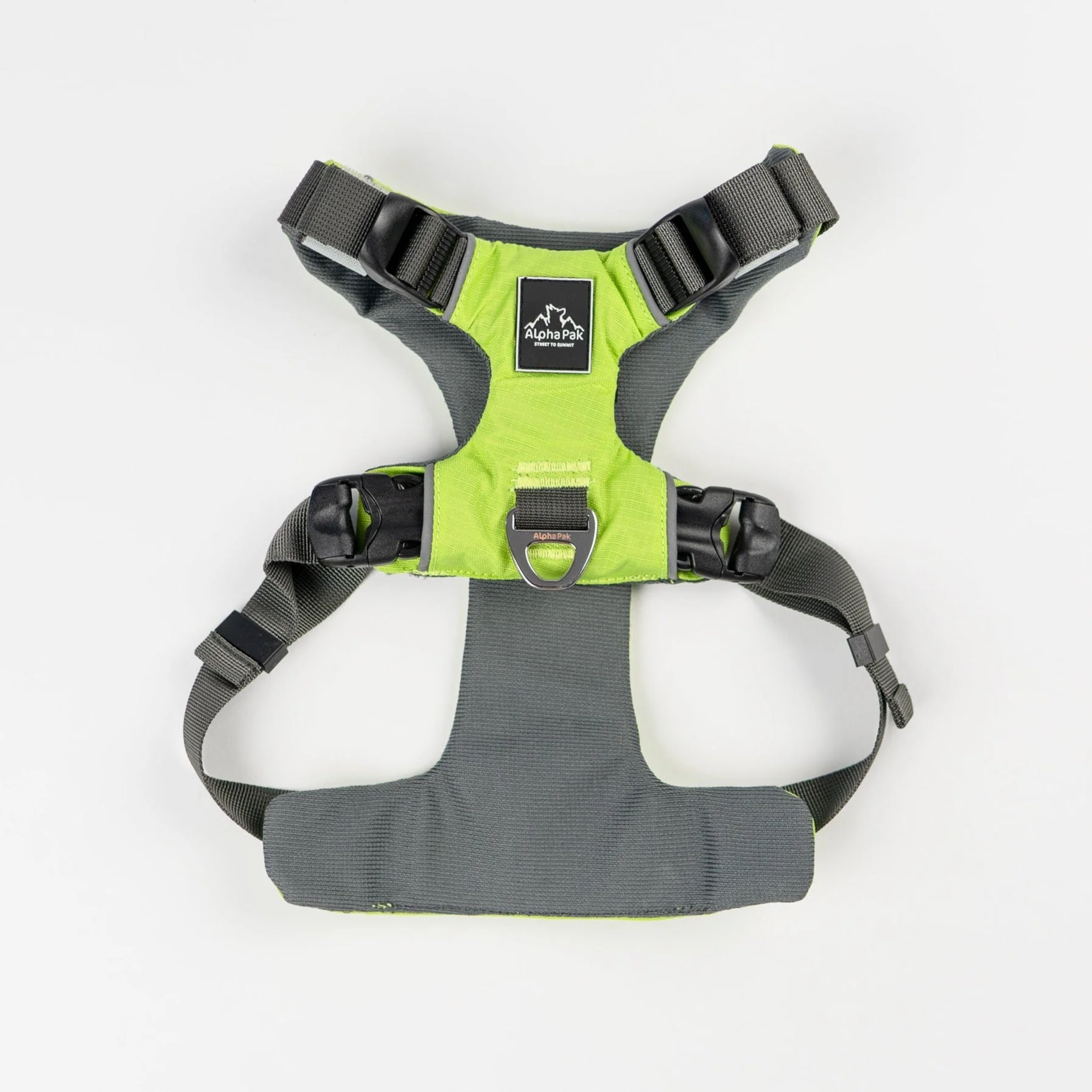 Everyday Adventure Dog Harness - Image 4