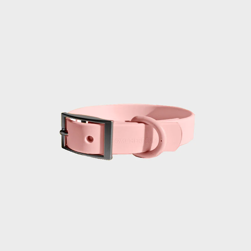 Everyday Collar - Image 4