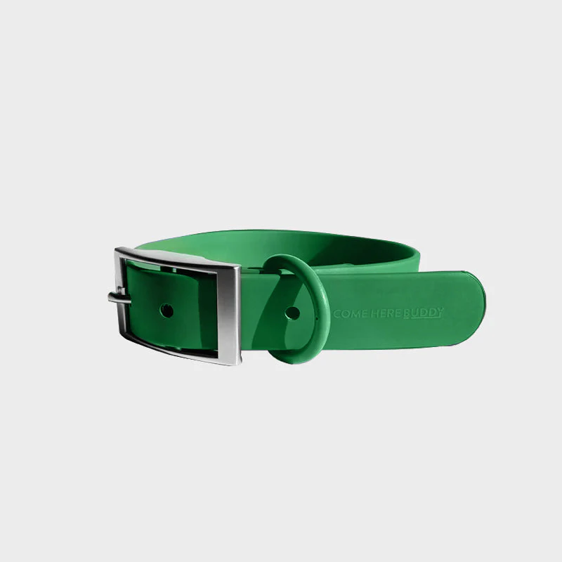 Everyday Collar - Image 6