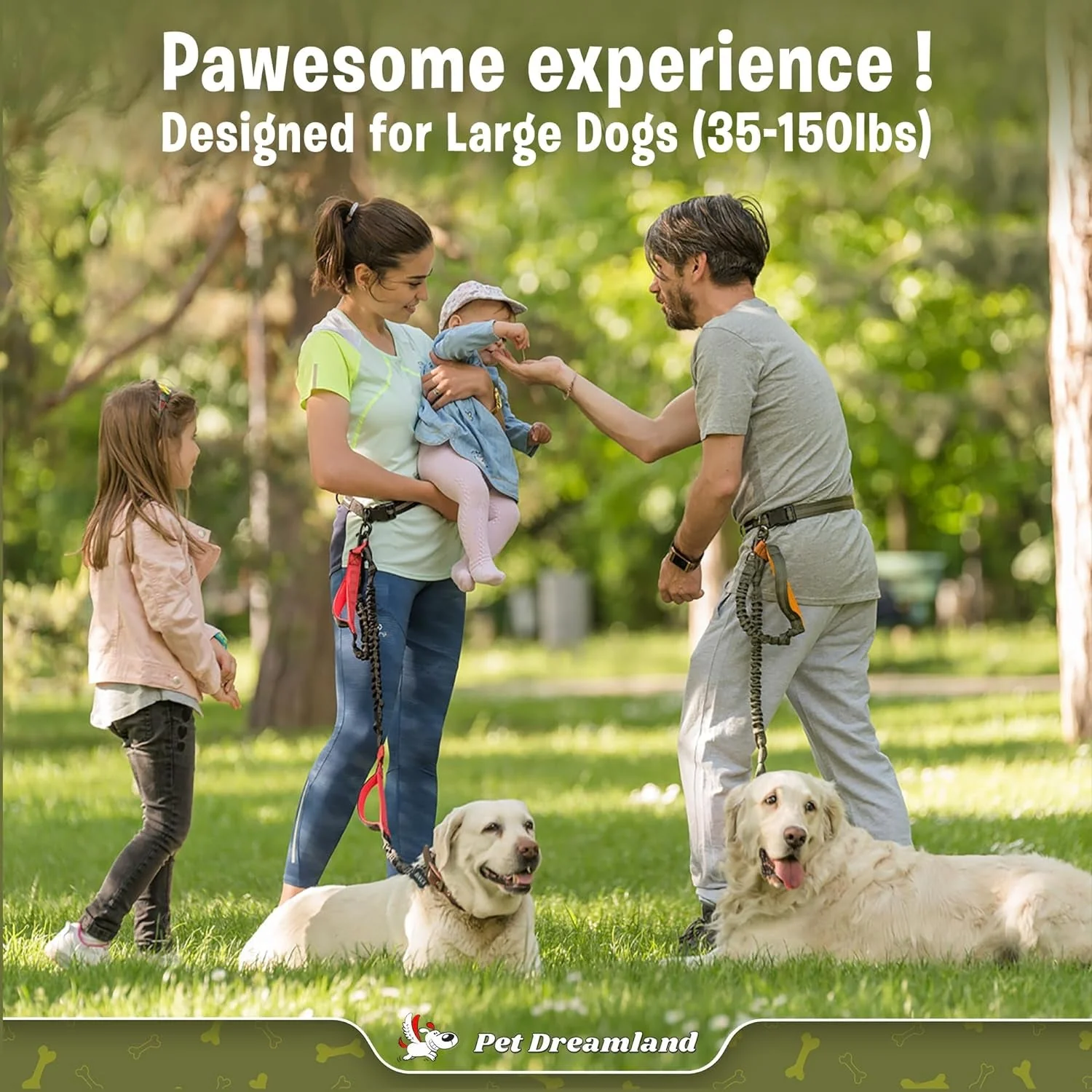 Exquisite Hands-Free Dog Leash for Large Dogs - Image 2