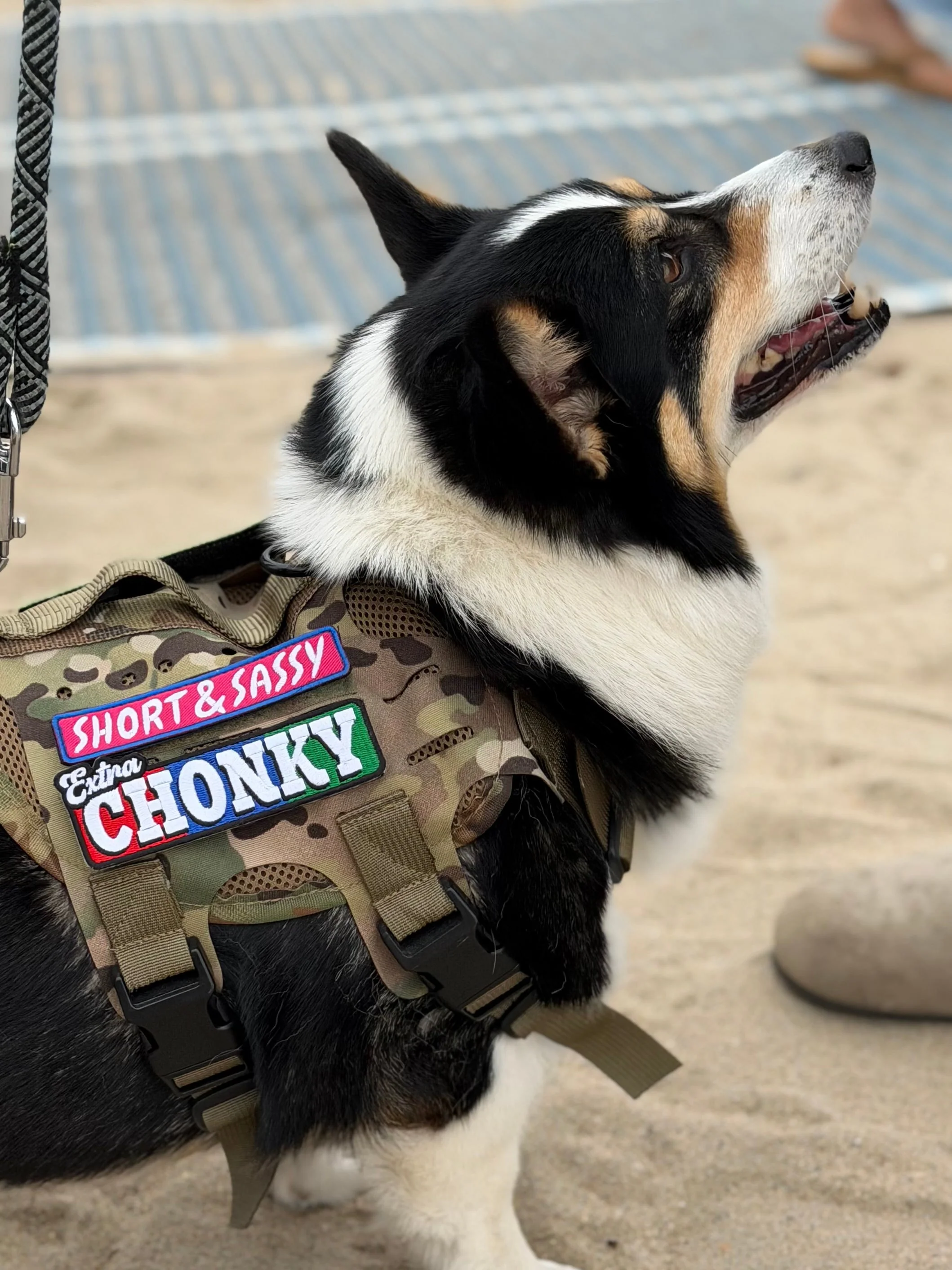 Extra Chonky Morale Patch - Image 3
