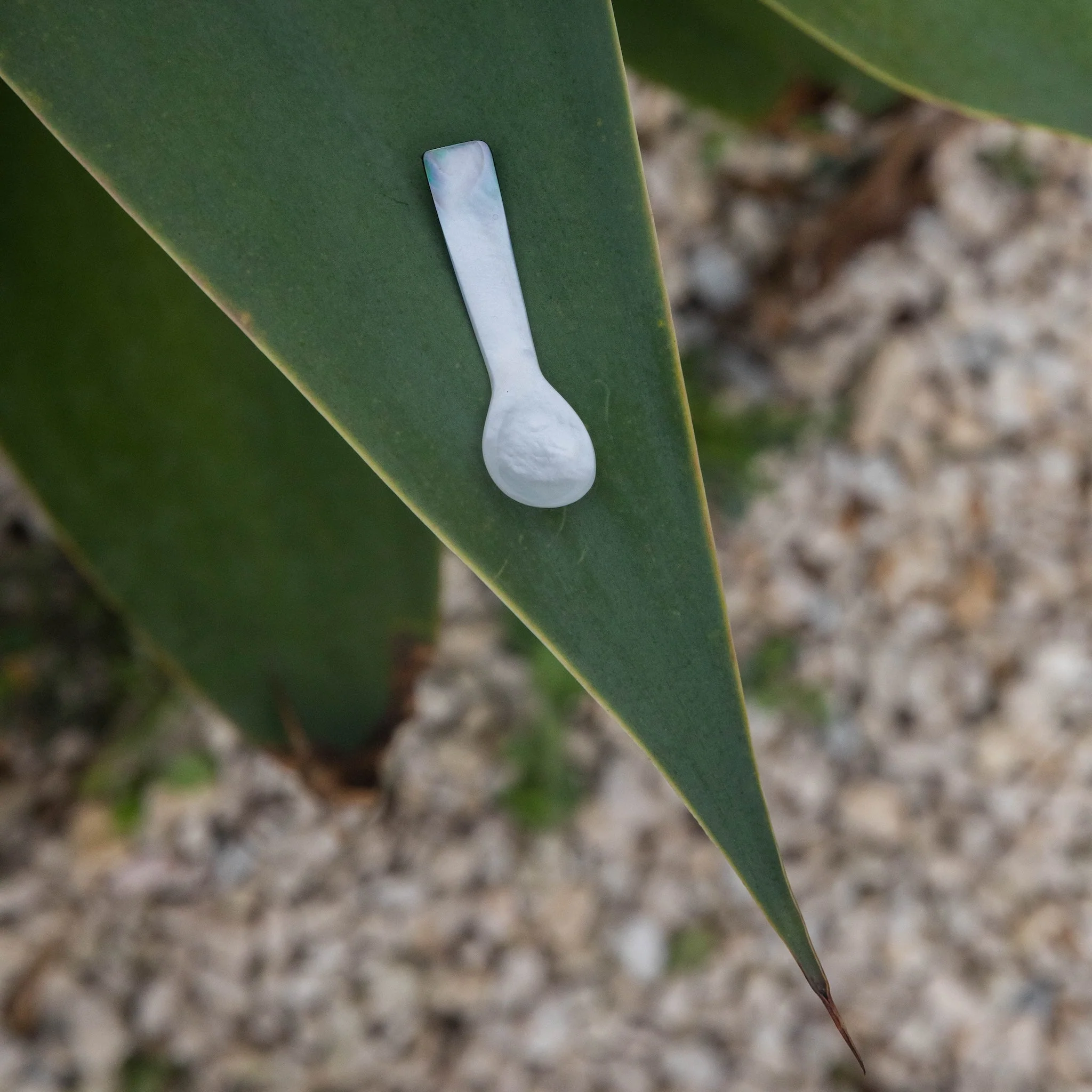 Face Balm + Mother of Pearl Spoon - Image 5