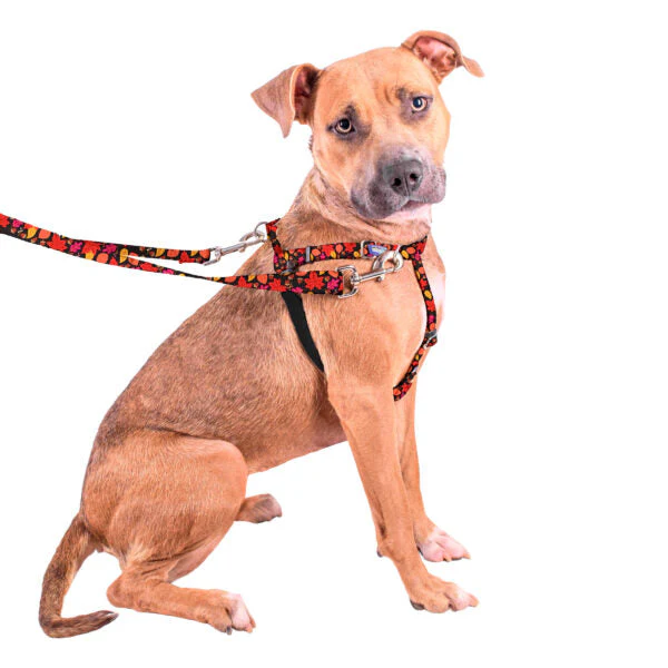 Falling Leaves Freedom No-Pull Dog Harness – EarthStyle - Image 8