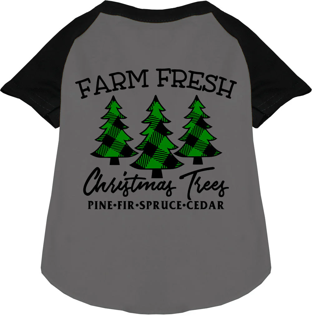 Farm Fresh Christmas Trees Pet Raglan Shirt - Image 3