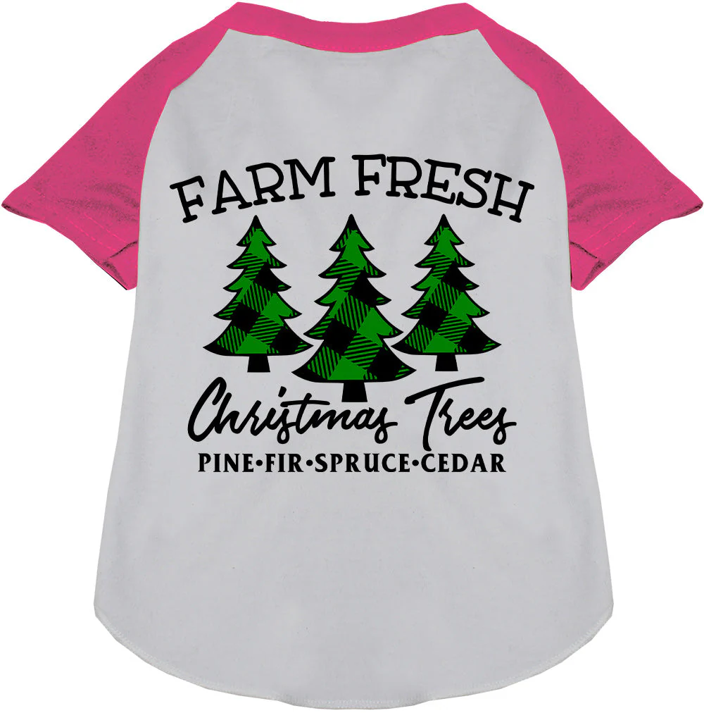 Farm Fresh Christmas Trees Pet Raglan Shirt - Image 5