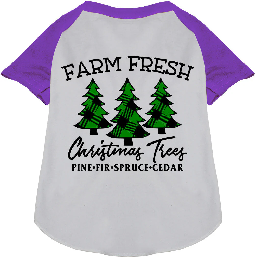 Farm Fresh Christmas Trees Pet Raglan Shirt - Image 7