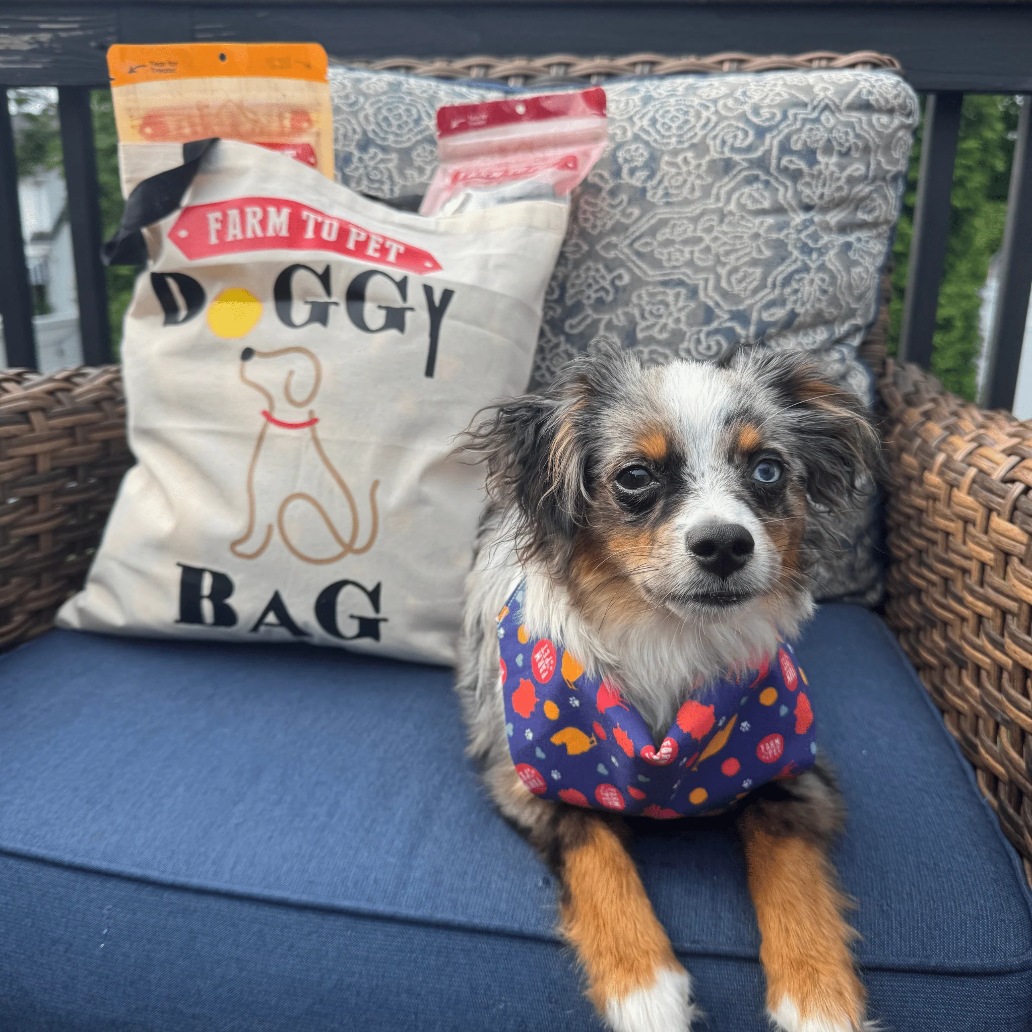 Farm To Pet Tote Bag | Paw-some Gift for Animal Lovers - Image 3