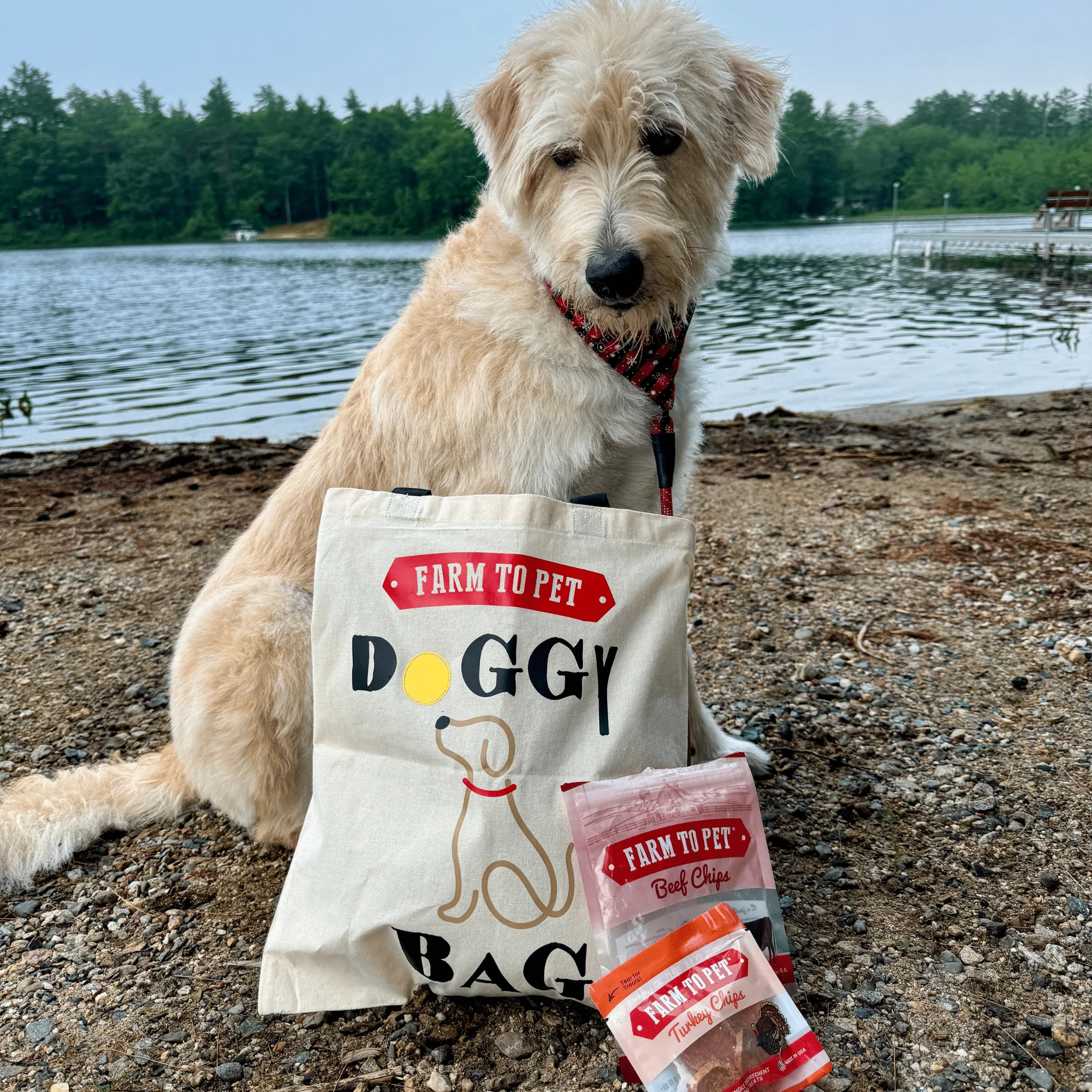 Farm To Pet Tote Bag | Paw-some Gift for Animal Lovers - Image 4