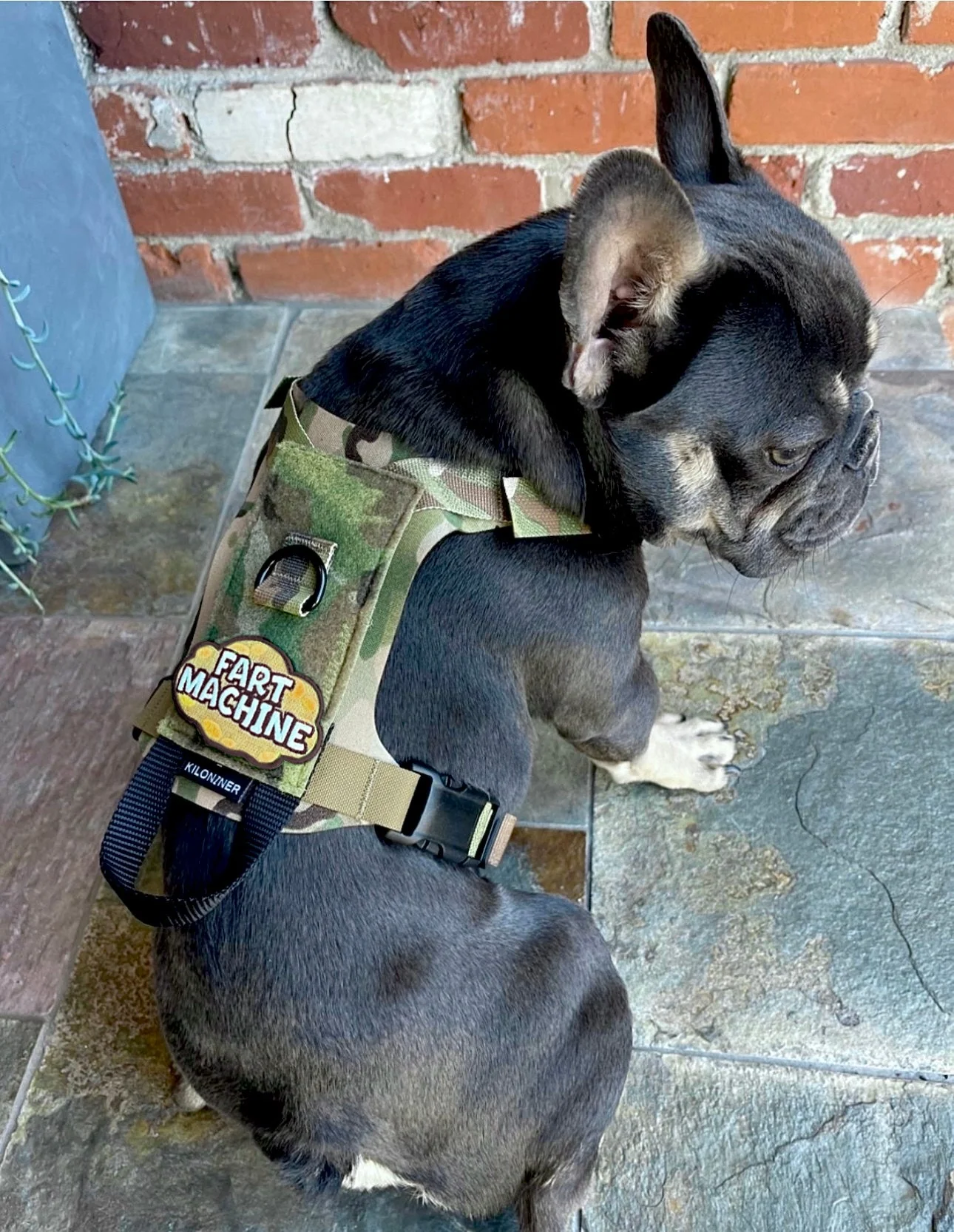 FART MACHINE - Large Morale Patch - Image 4