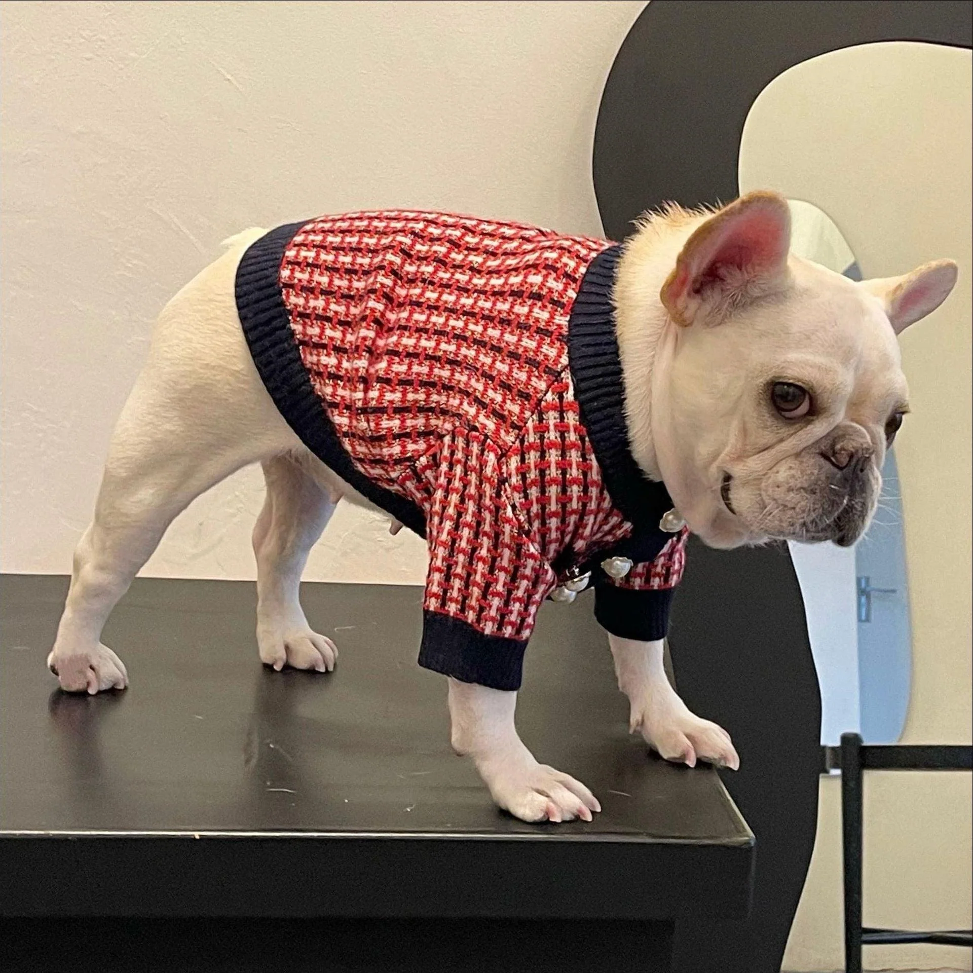 Fashion Cute Print Winter Pet Sweater - Image 5